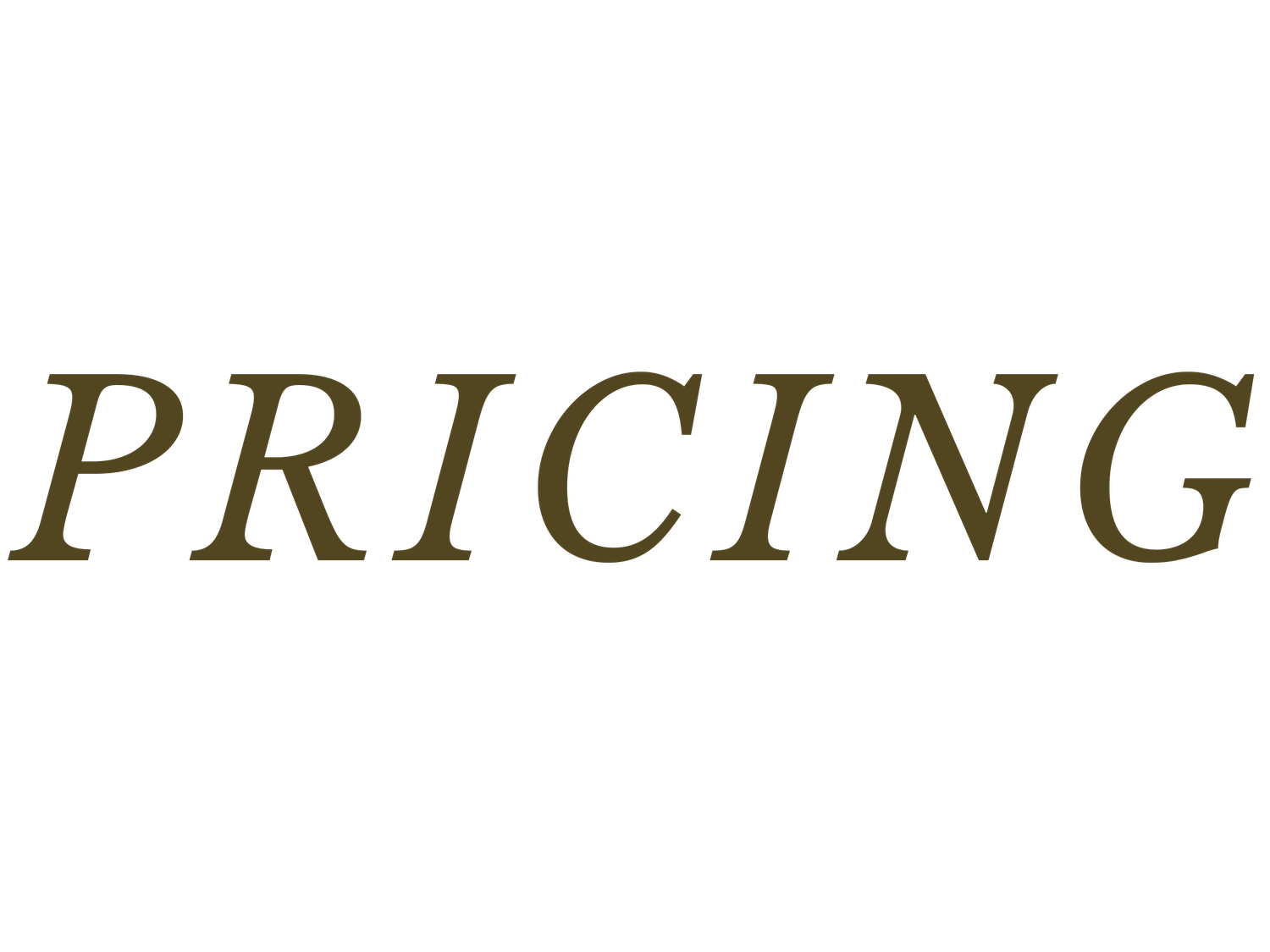 Text showing the word 'PRICING' in an elegant serif font.