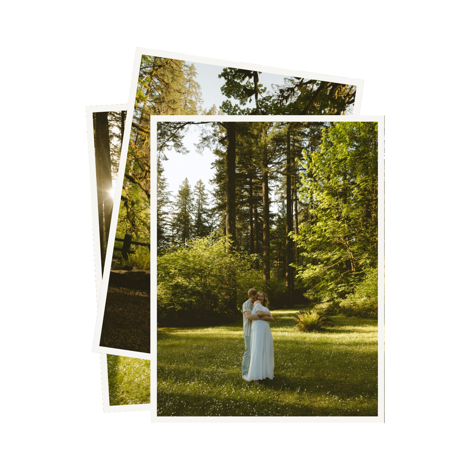 Multiple overlapping images of a white dress form standing in a green forest clearing.