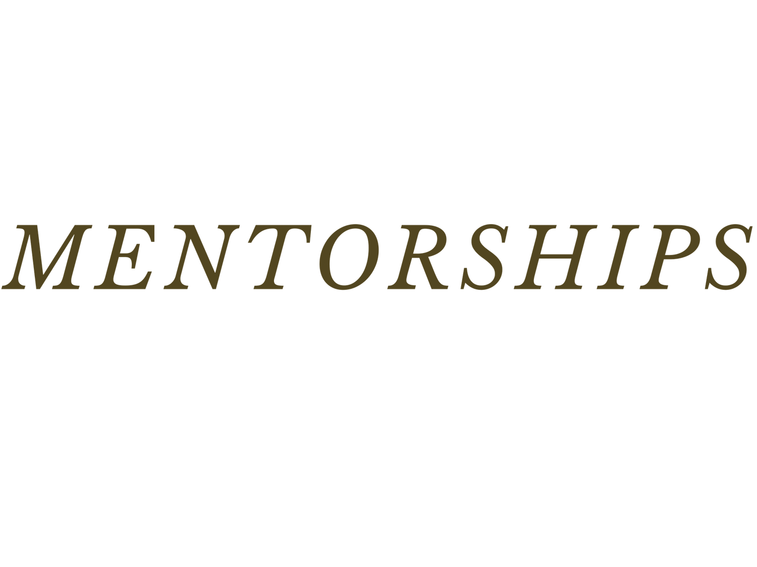 Text reading 'MENTORSHIPS' in brown serif font against a white background.