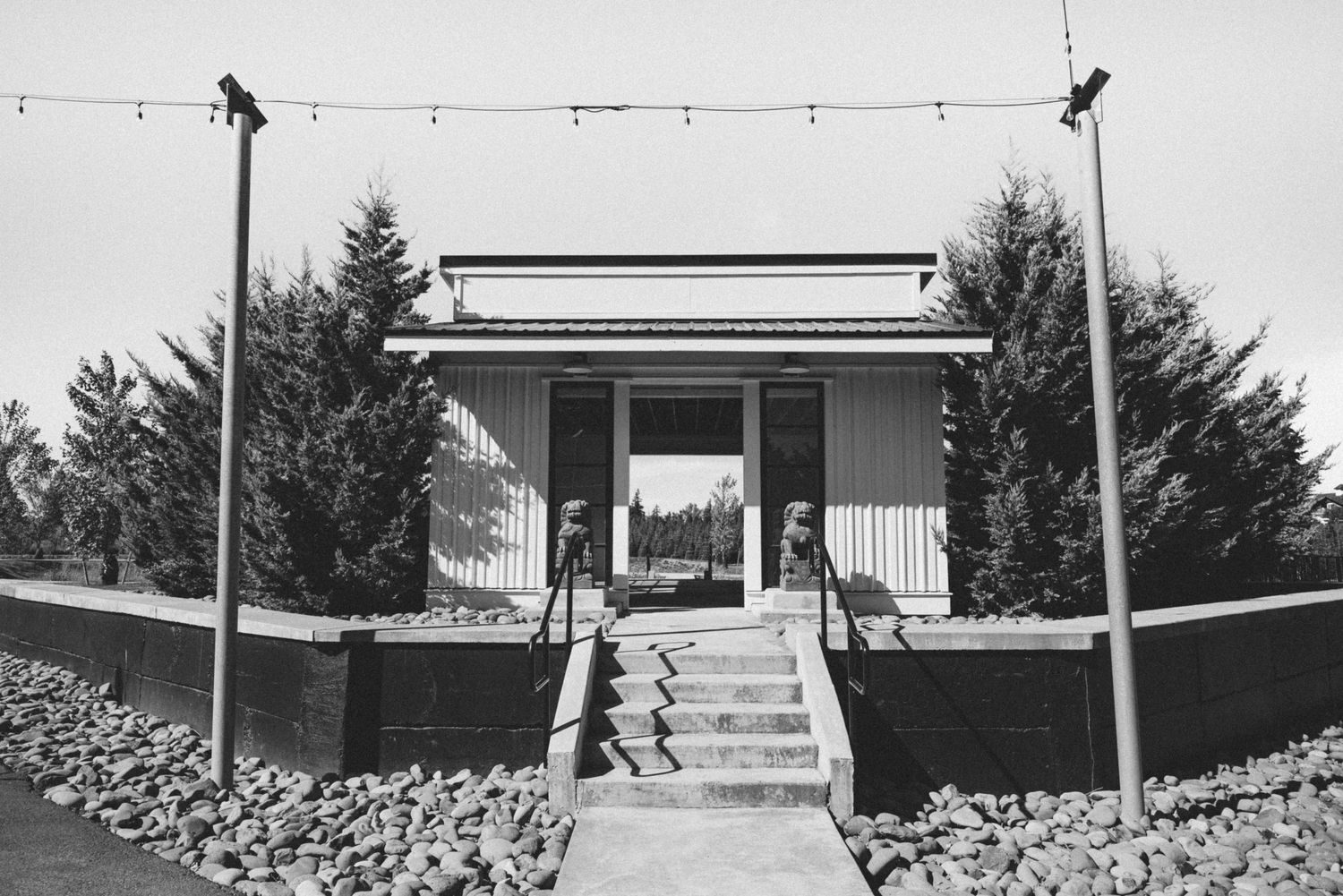 Black and white photo of a modern small building with steps, flanked by evergreen trees and decorative string lights.