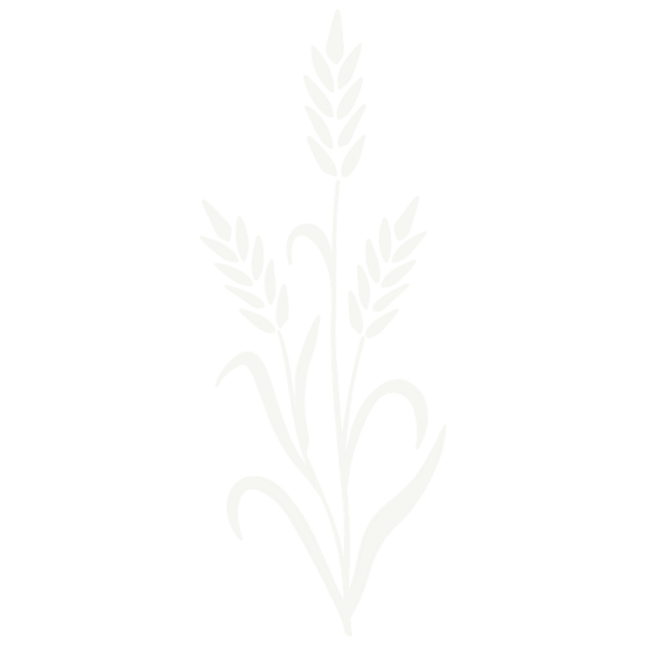 Graceful white botanical stems create an elegant design on cream colored surface.