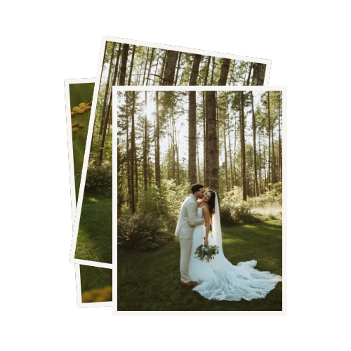 Romantic wedding photos captured in a sunlit forest setting with tall pine trees.