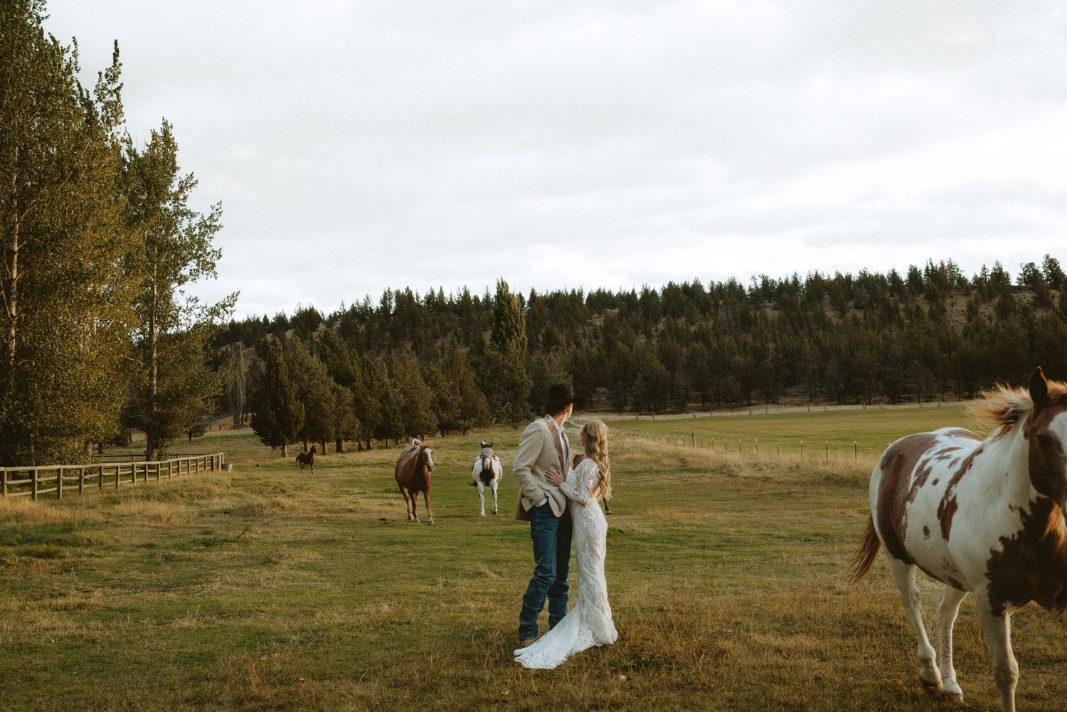Candid western wedding photo of a couple with horses in Sisters, Oregon, captured in a timeless documentary style.