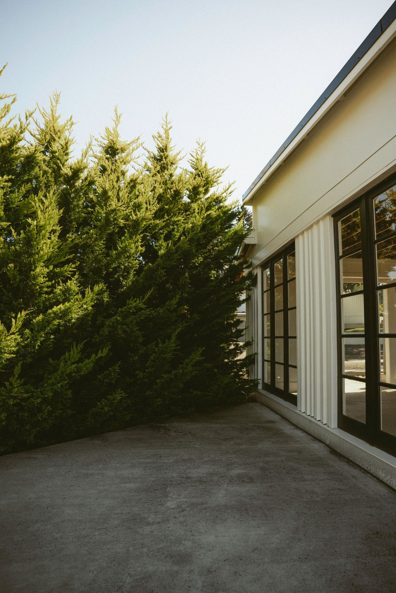 Modern building exterior with large glass doors beside tall green cypress trees on a concrete patio.