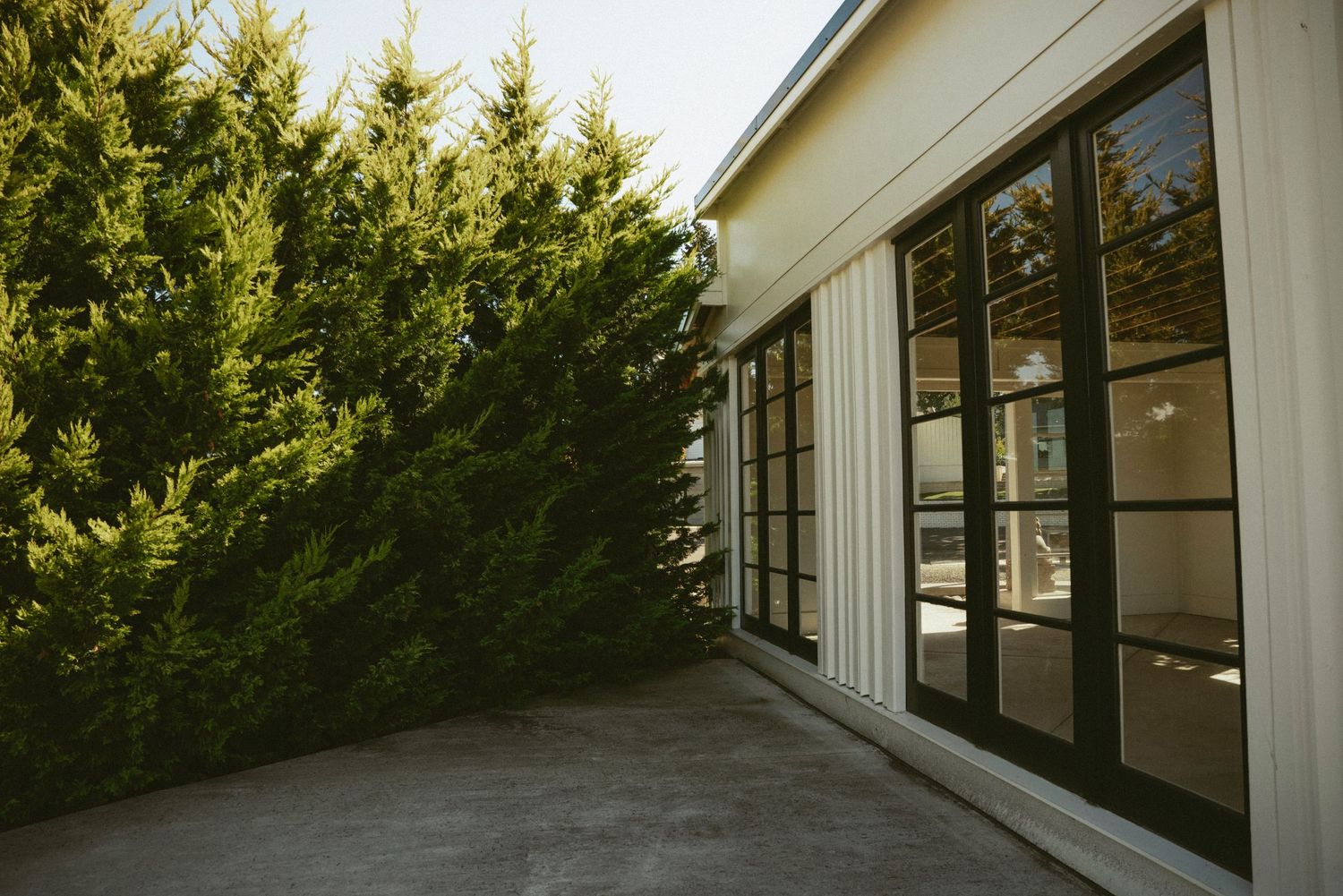 Modern home exterior with black-framed glass doors, white siding, and lush green cypress trees on a concrete patio.
