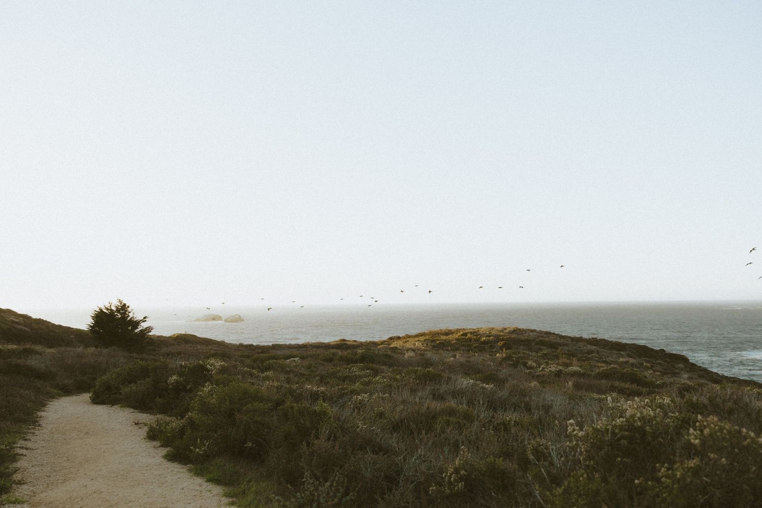 Scenic coastal landscape with rugged cliffs and ocean views along a winding path at sunset.