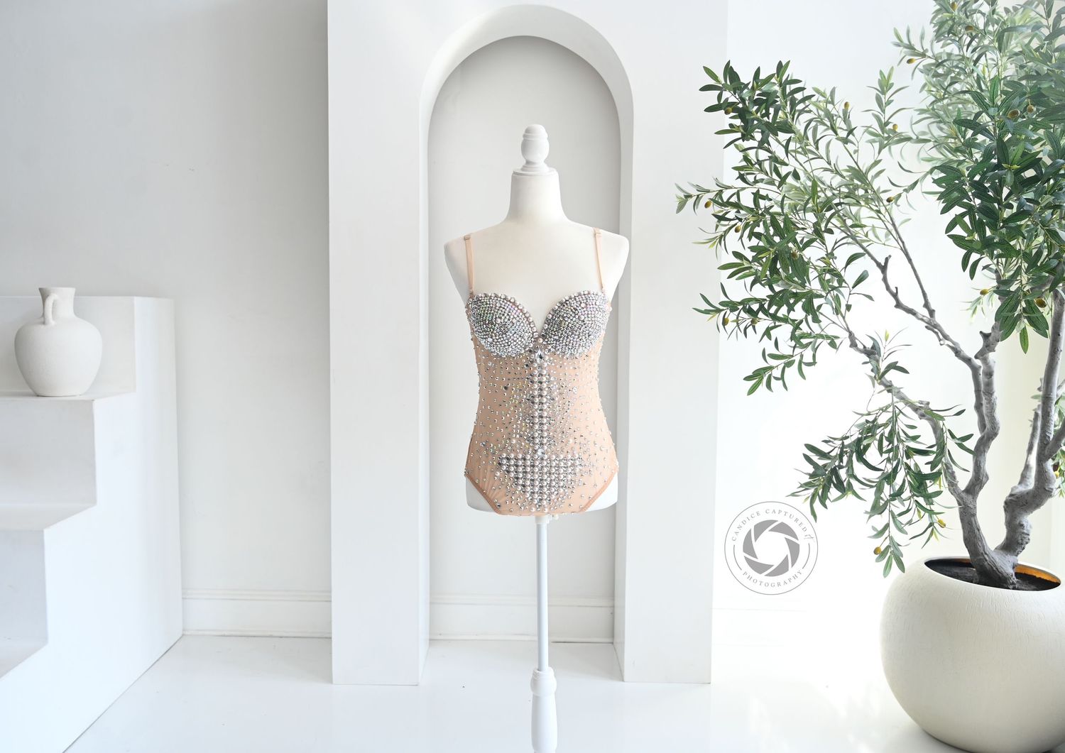 Branch growing in white minimalist decor with light-filled setting creating a serene modern atmosphere.