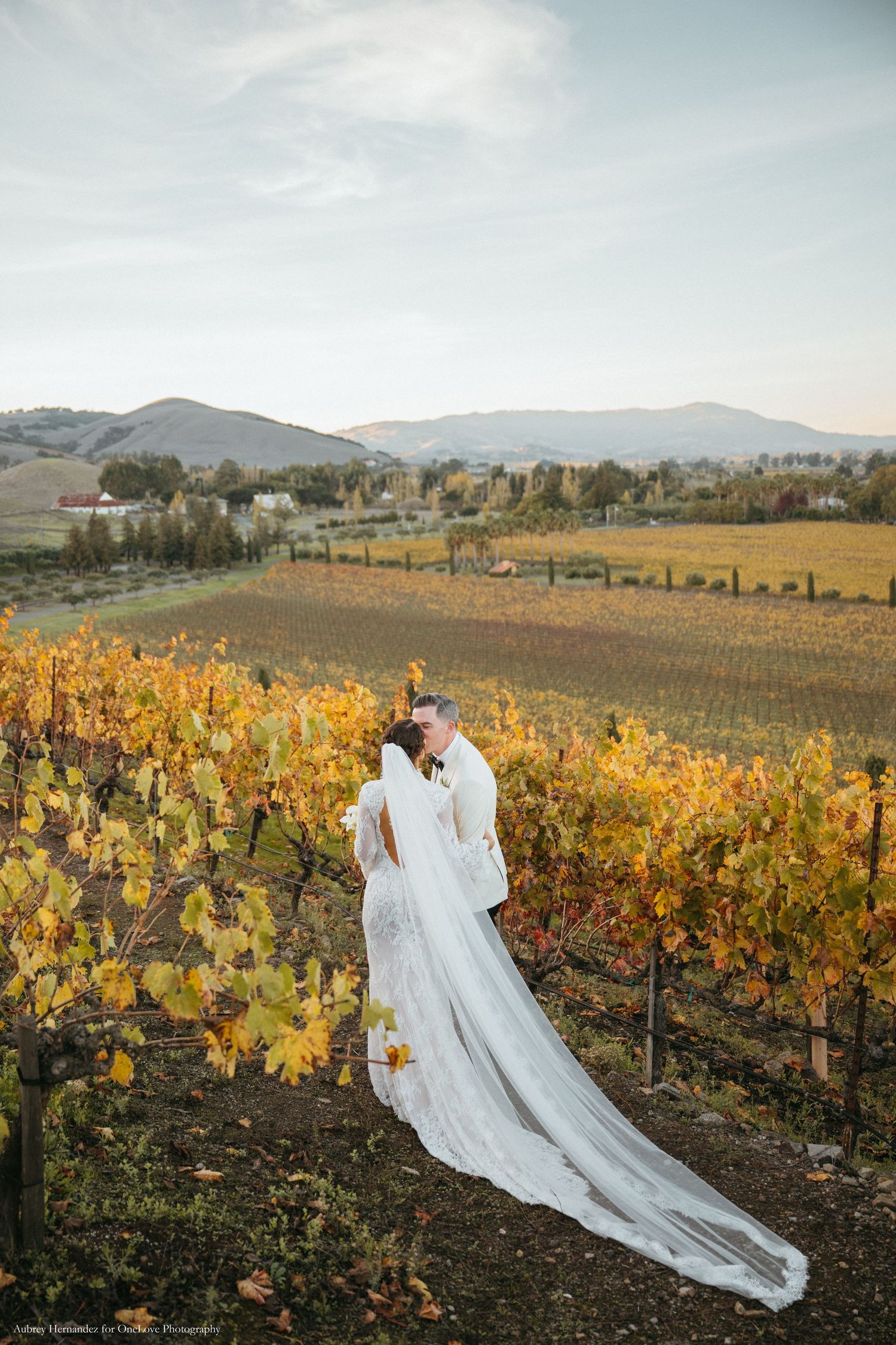 Flowing white dress trails elegantly through autumn vineyard rows with mountains in the distance at sunset.