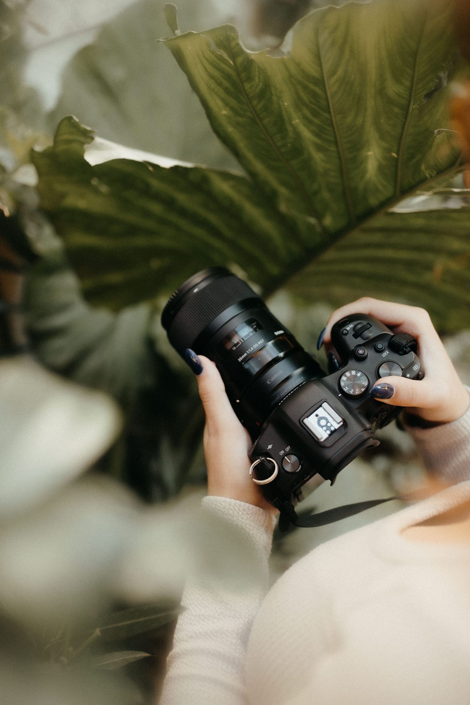 mentoring, coaching one to one pour photographes
workshops, accompagnement professionnel
trouver des clients