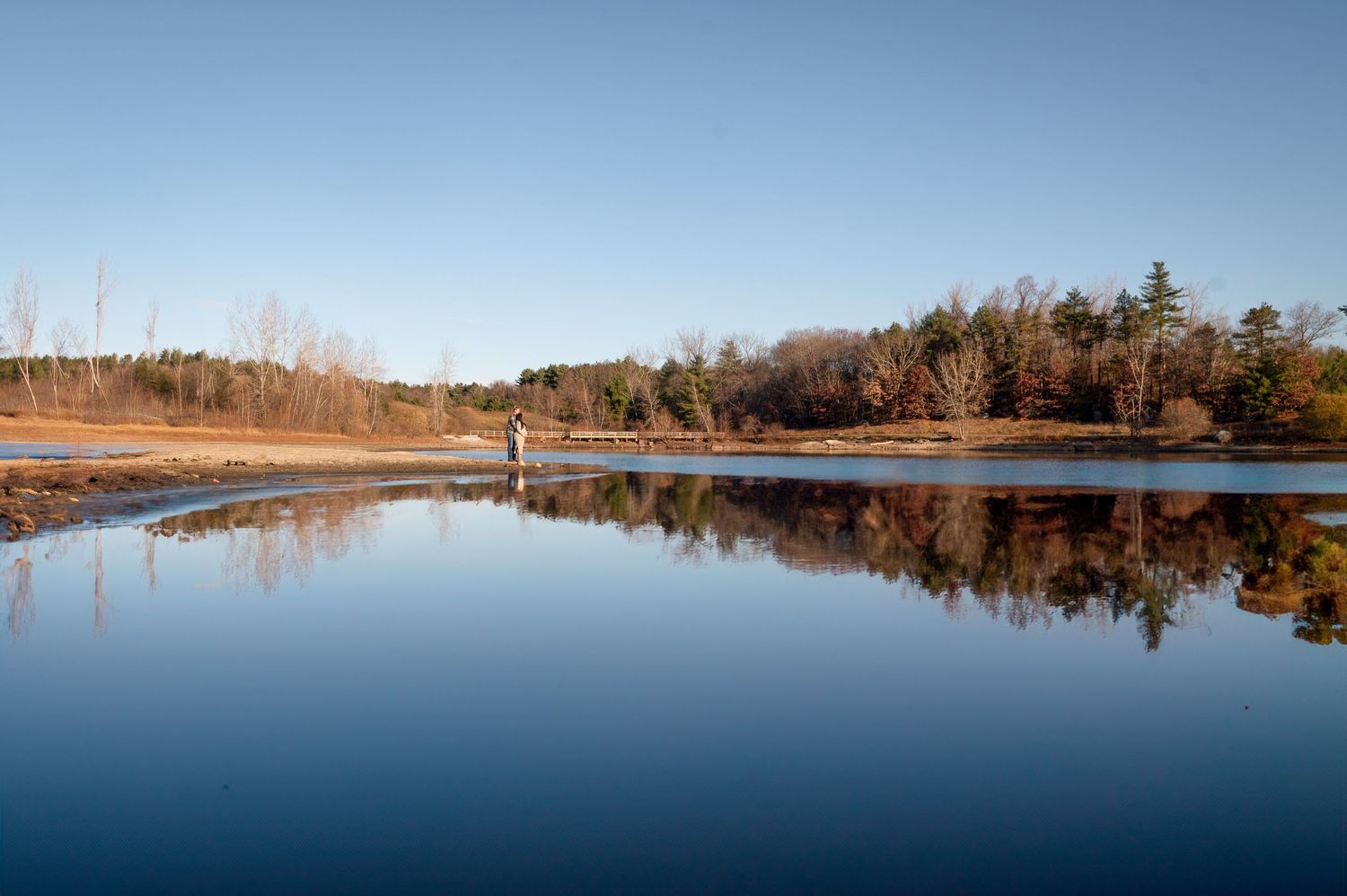 A serene lake with perfect reflections of trees and sky in calm waters on a clear autumn day.
