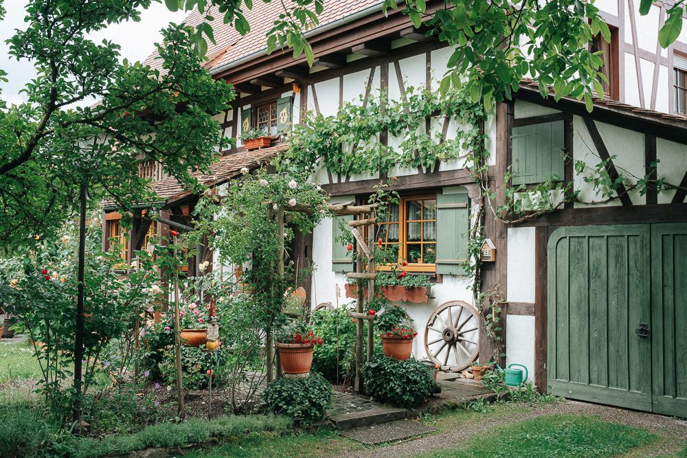 A charming traditional German half-timbered house with climbing vines, potted plants, and a vintage wagon wheel on the facade.