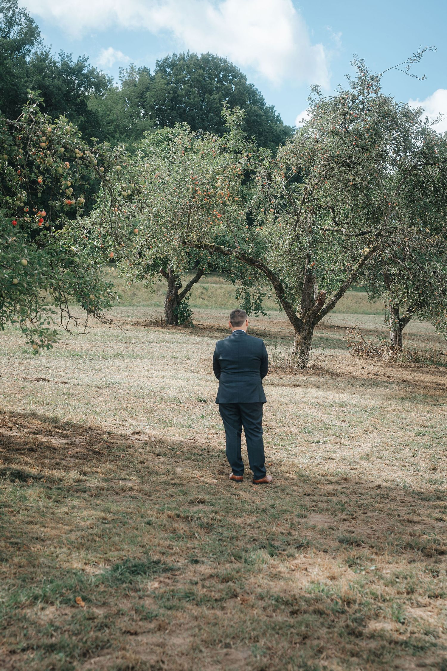 Man in a dark suit stands with his back to the camera in a sunlit orchard, facing apple trees across a dry grassy field.