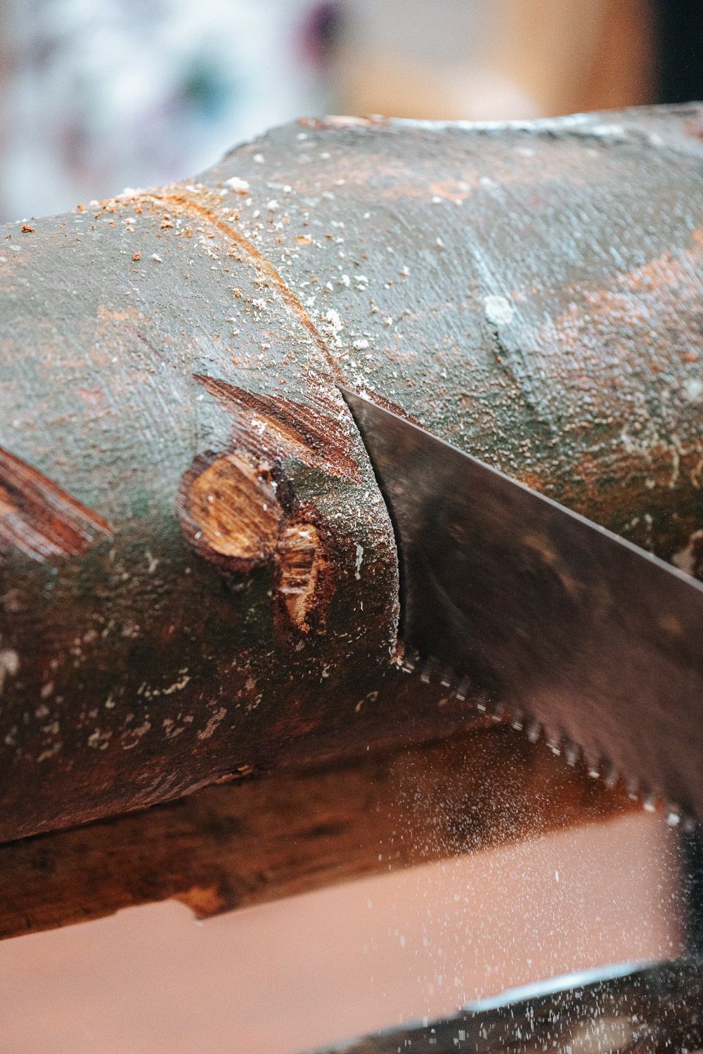 A knife blade cuts into a dark, textured surface creating shavings in a close-up macro photograph.