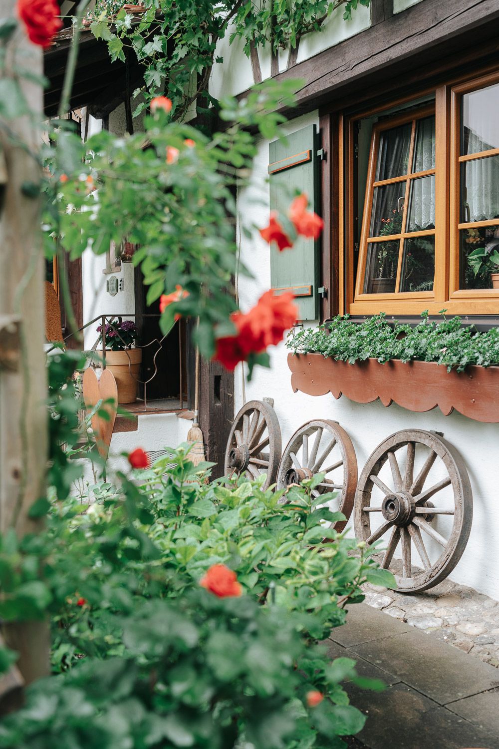Antique wooden wagon wheels decorate the exterior of a traditional white farmhouse with blooming red flowers and lush greenery.