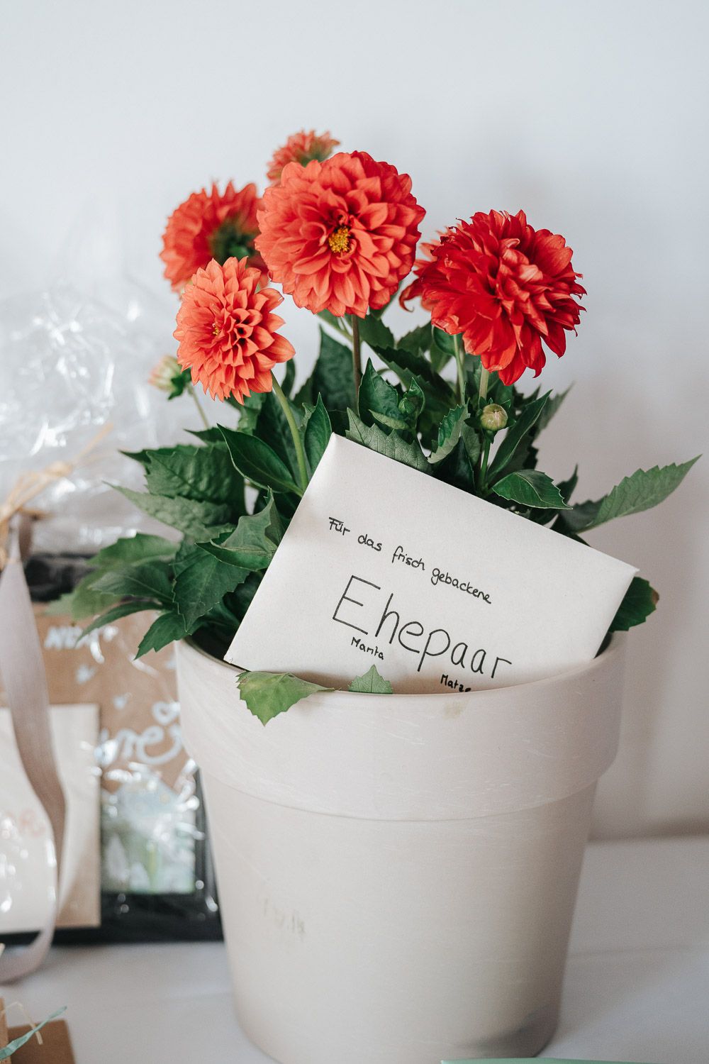 Coral and red dahlia flowers in a white ceramic pot with an 'Etiepaar' label on display.