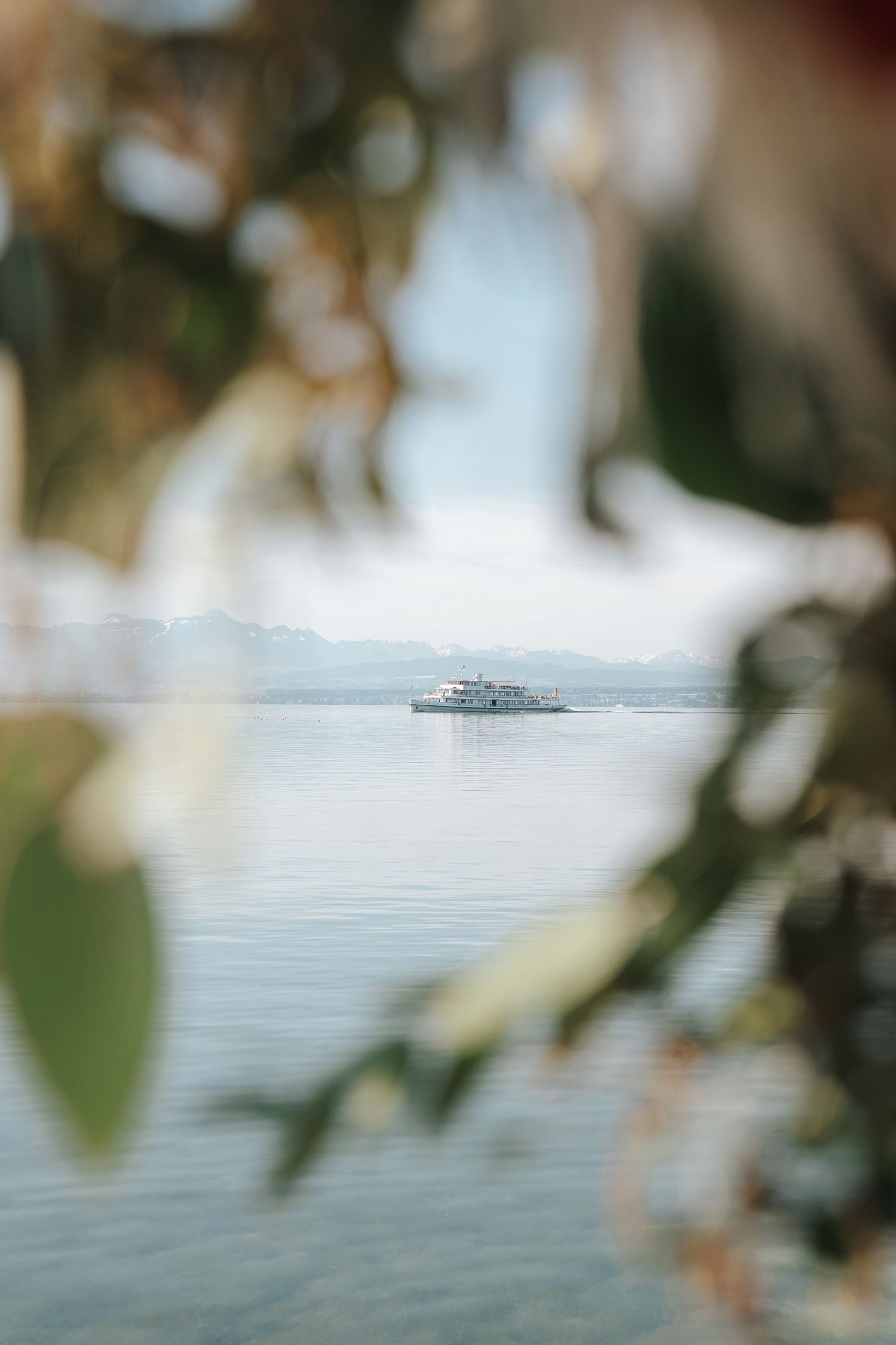 View of a distant boat on a serene lake through blurred foreground foliage and misty mountains in the background.
