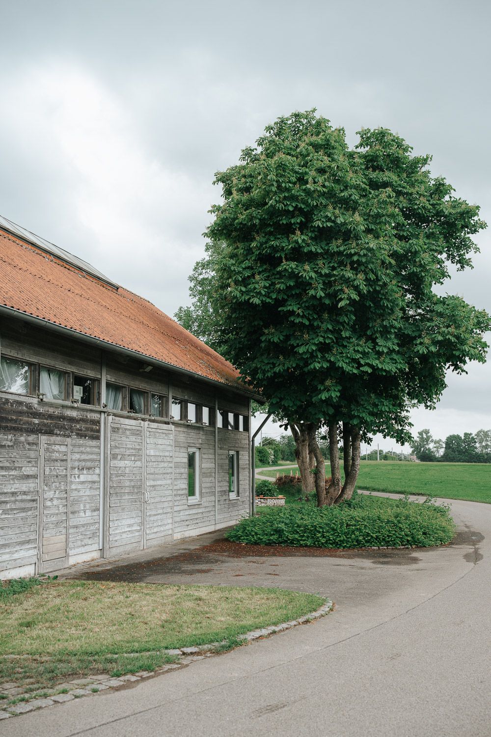 A gray concrete wall stretches along a curved path with green trees and landscaping visible against an overcast sky.