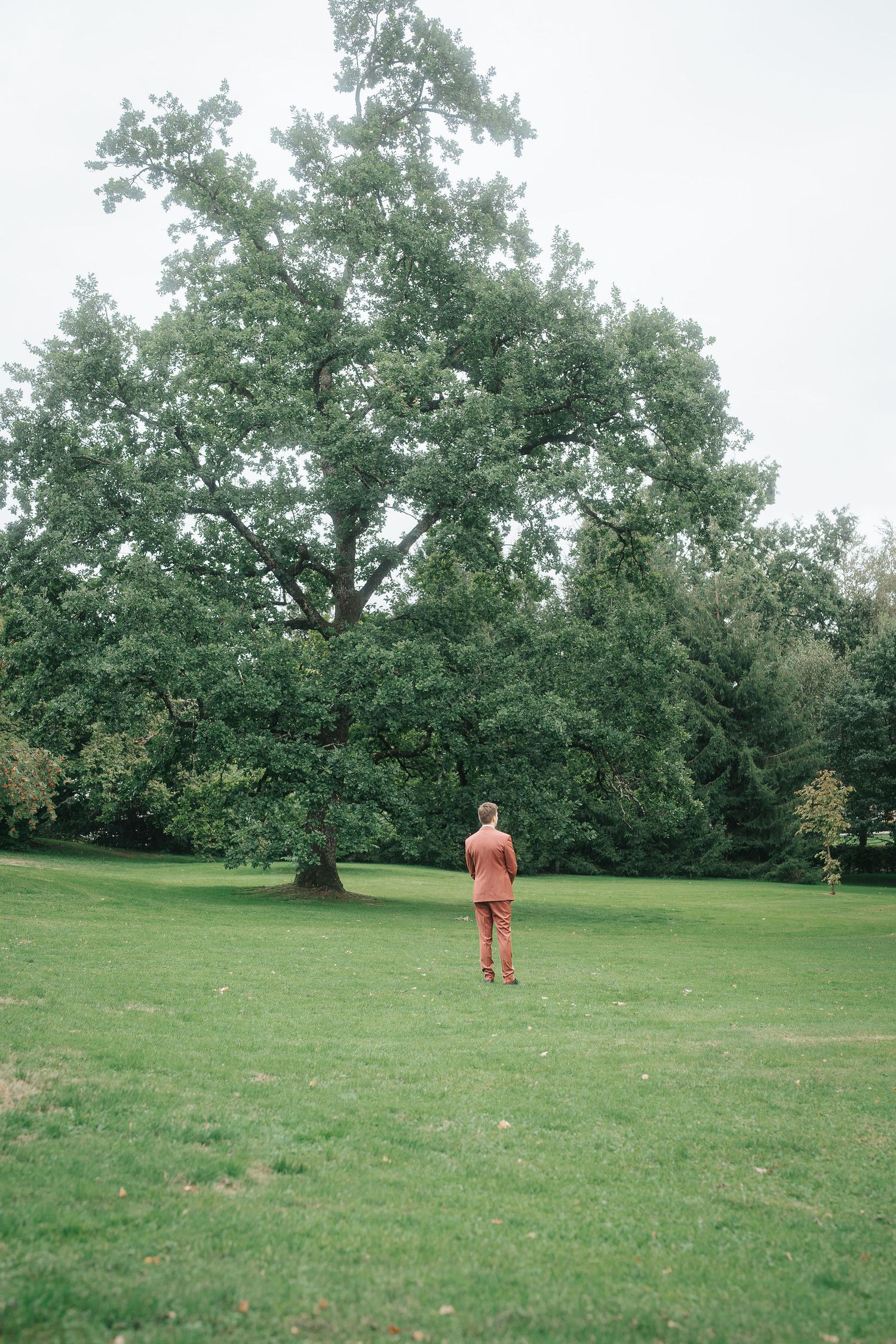 Person in a rust-colored suit stands on a green lawn facing a large leafy oak tree on an overcast day.