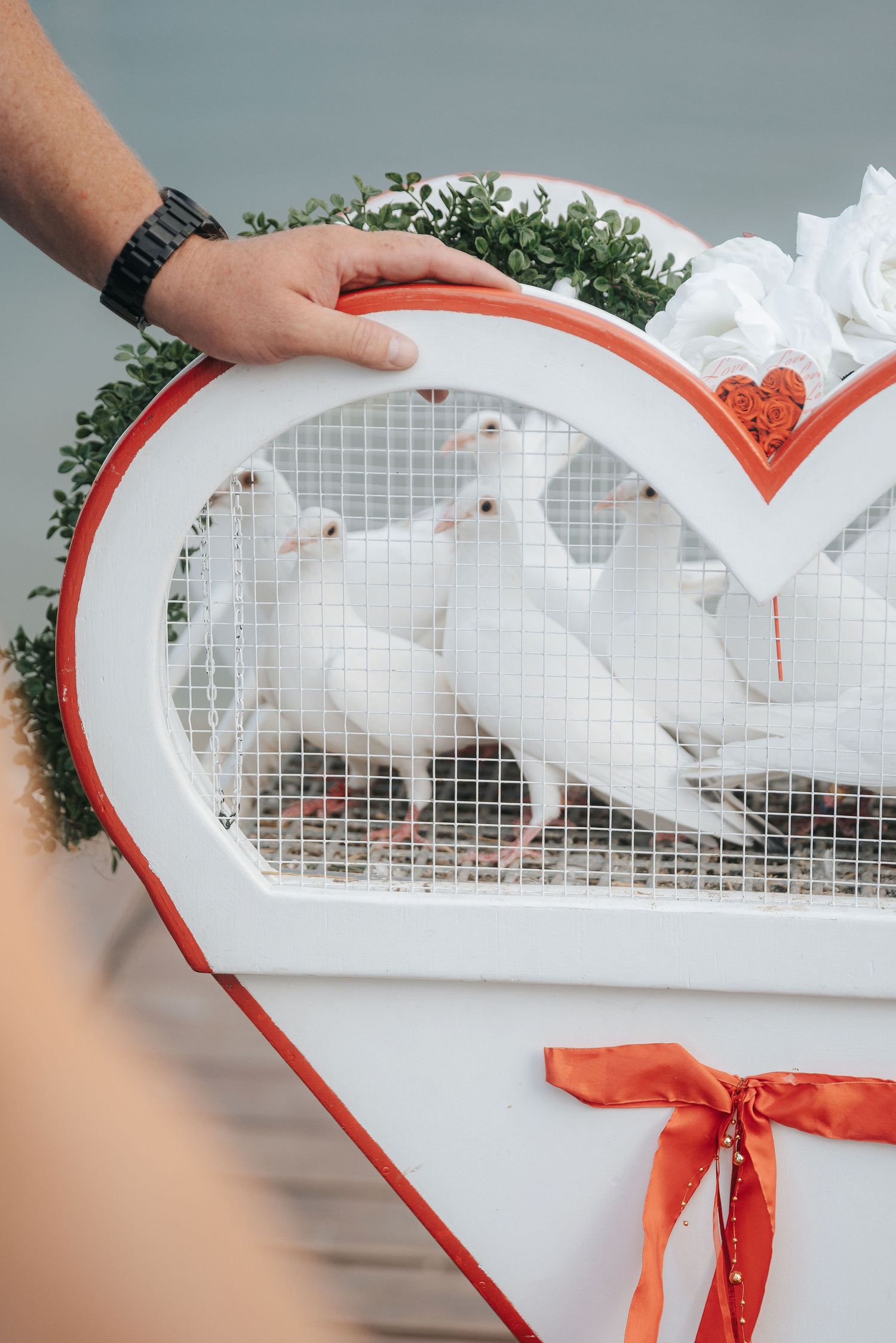 White doves in a heart-shaped decorative cage adorned with red ribbon and flowers at a wedding ceremony.