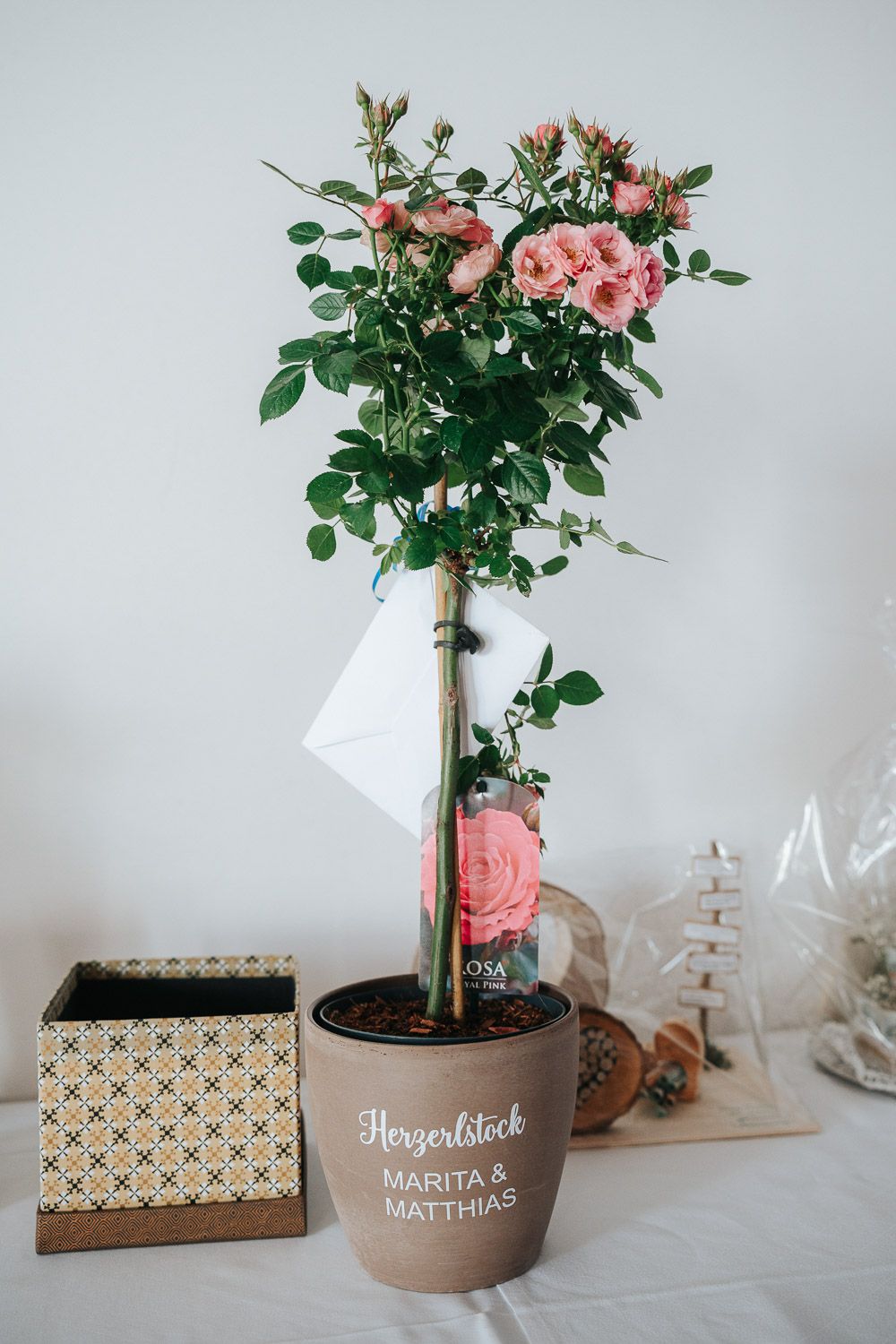 Pink rose topiary in brown clay pot with decorative storage box and glass containers on white surface.