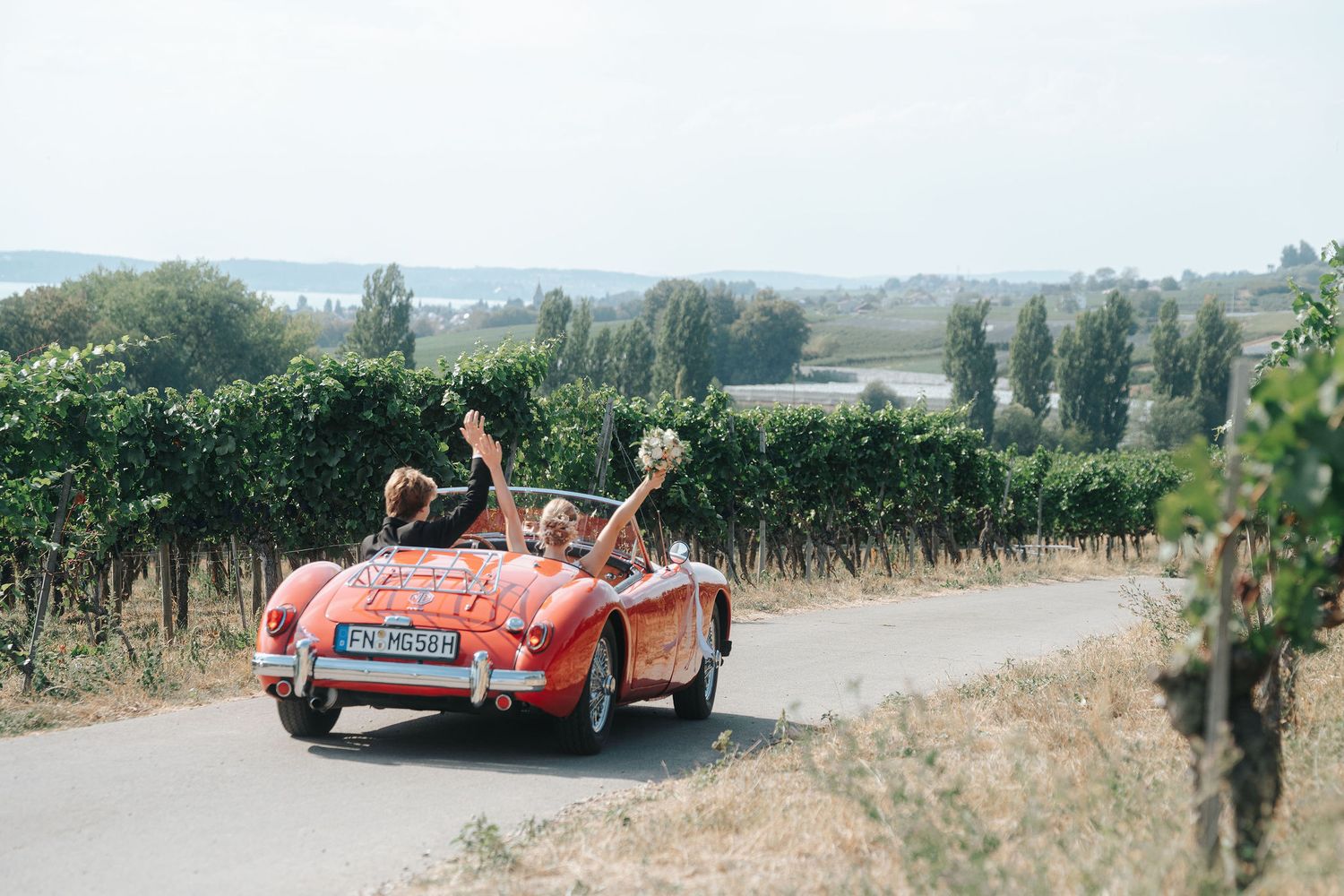 Couple in a red vintage convertible with arms raised drives along a country road past lush green vineyards.