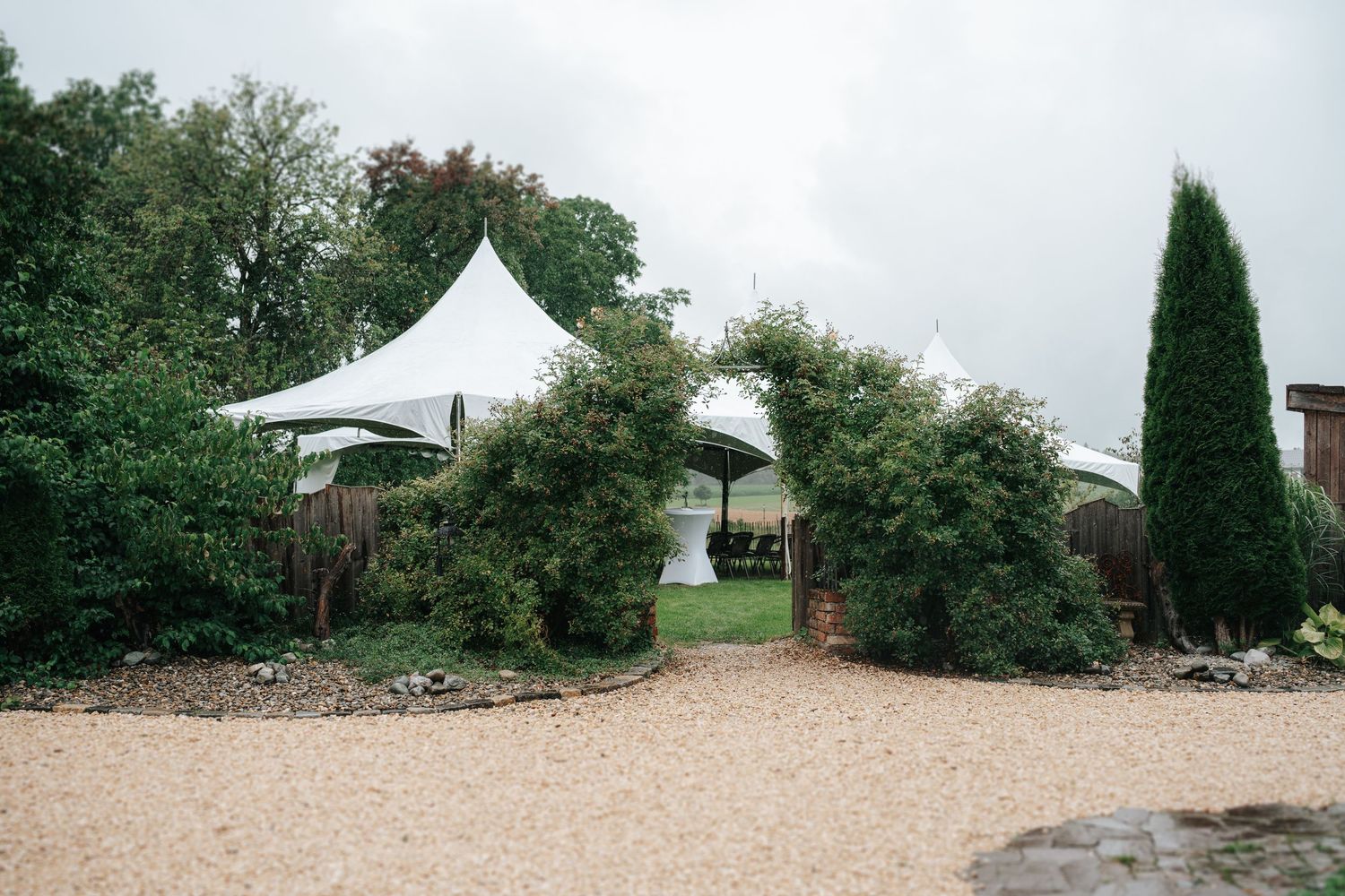 White stretch tents visible behind lush green hedges and cypress trees in a garden venue setting.