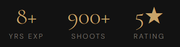 A professional profile statistic bar showing experience metrics with gold stars and numerical ratings.