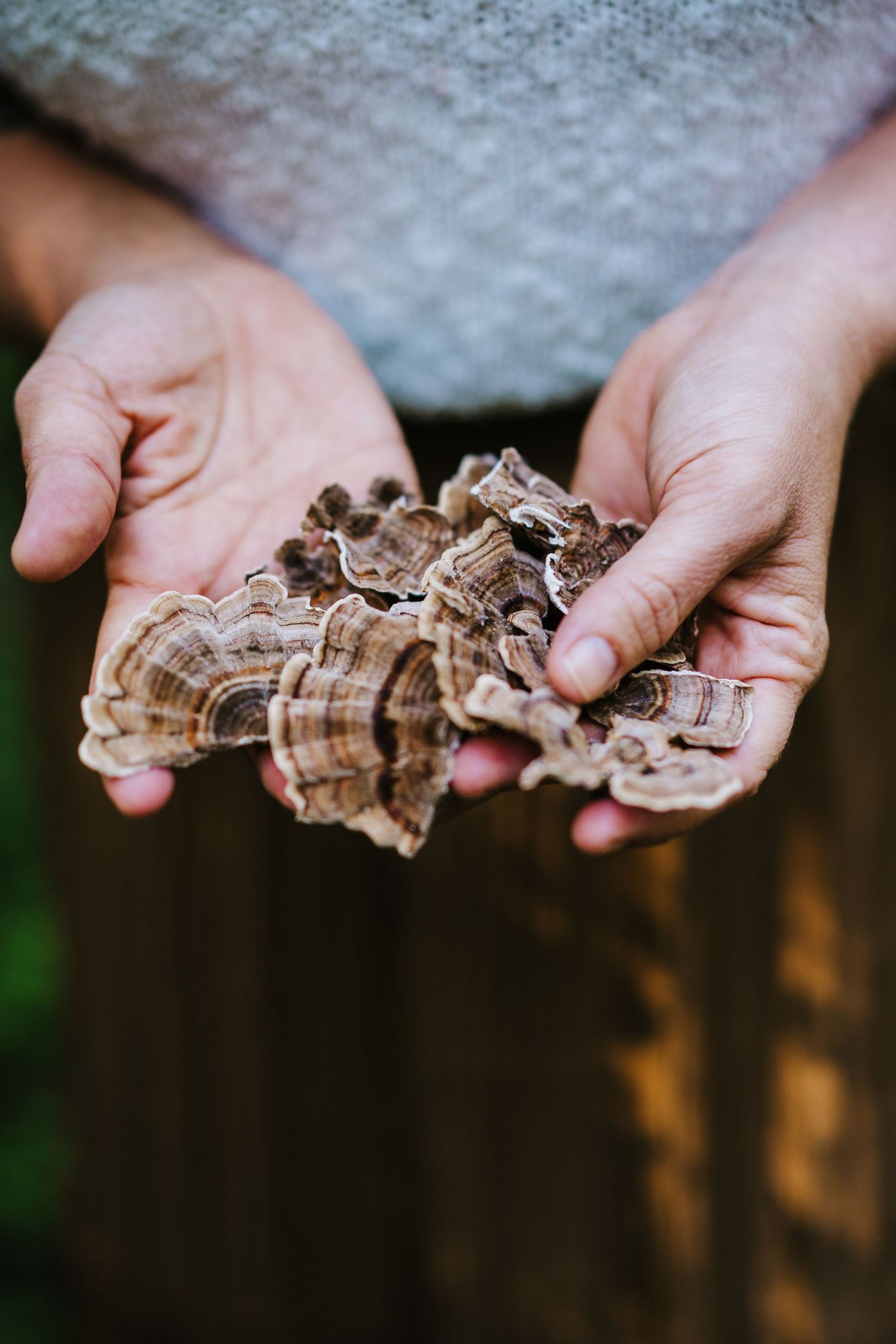 Holistic Nutritionist in Ann Arbor, MI