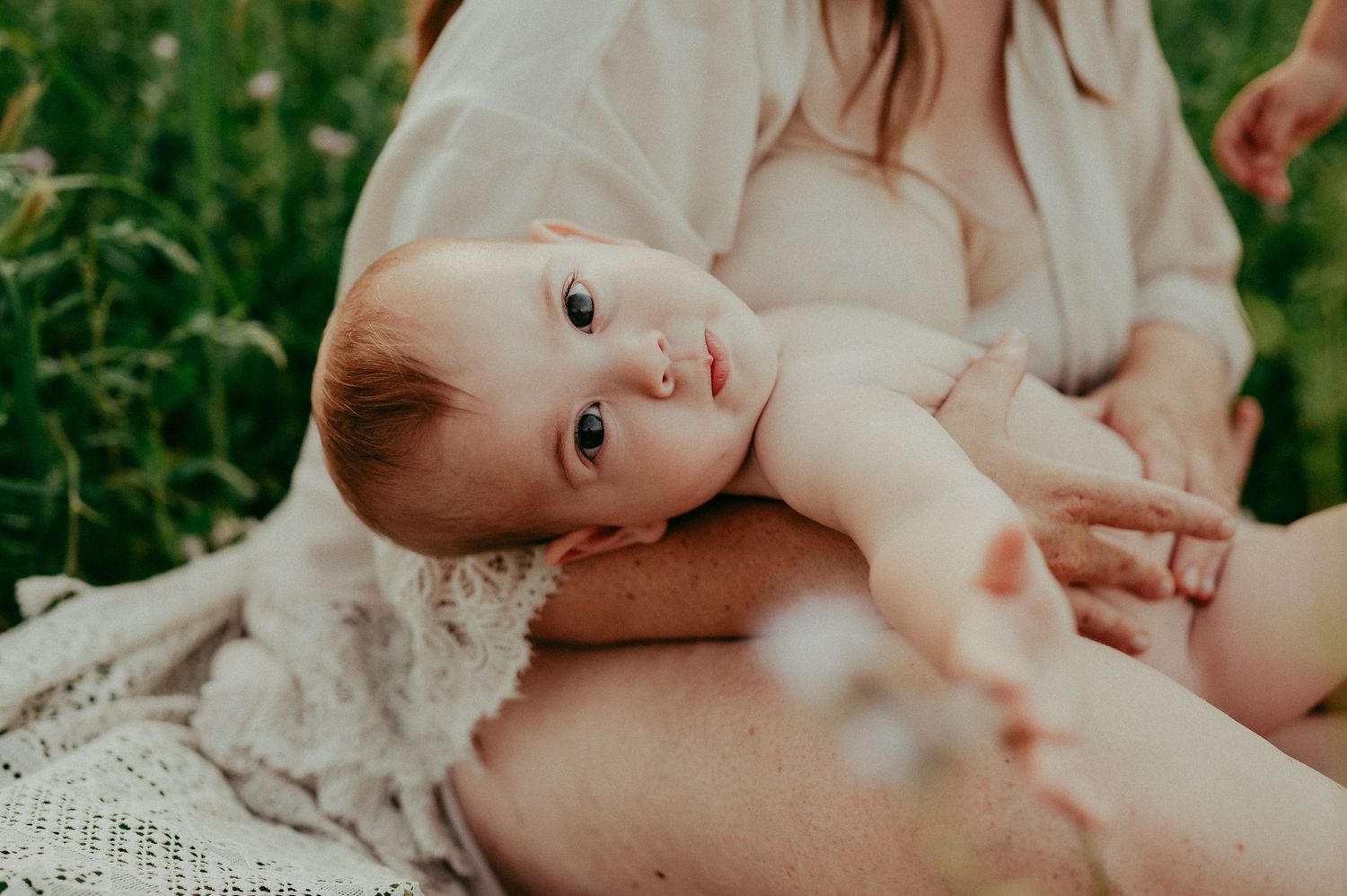 A peaceful moment captured on a lace blanket amidst wildflowers.