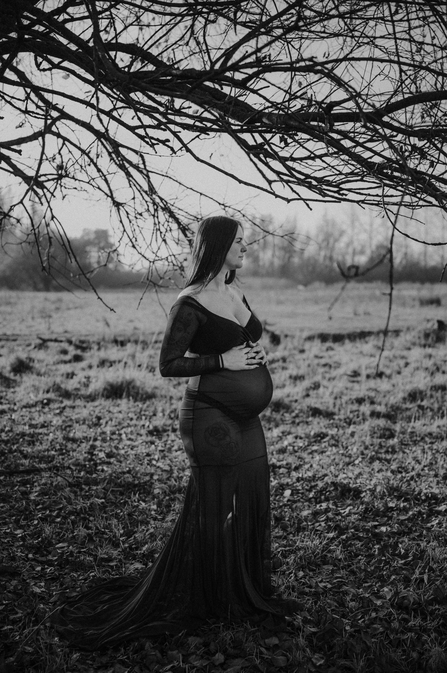 A black and white photo series showing a pregnant woman in a long dress standing under tree branches in a field.