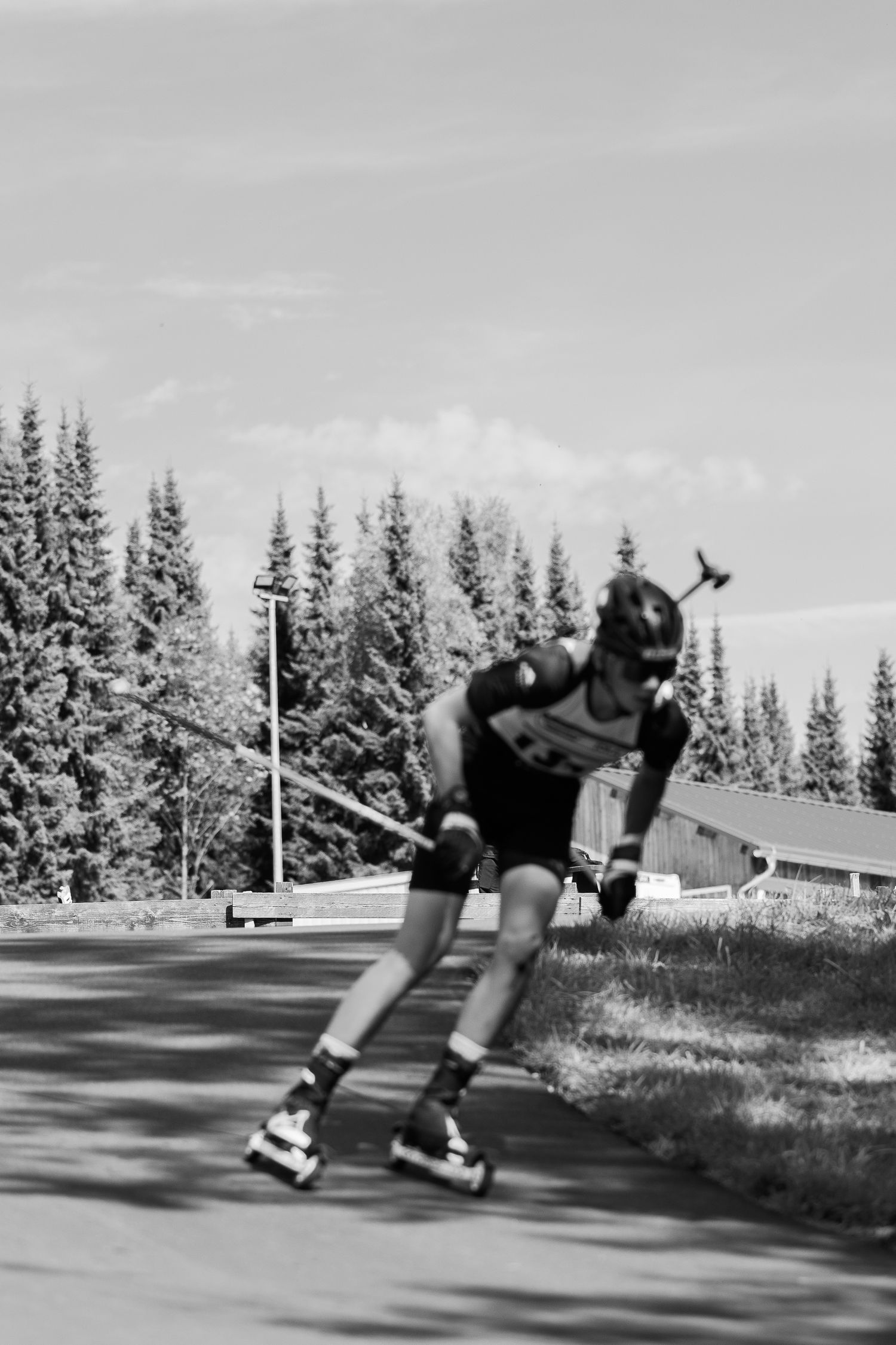 Biathlet fährt einen Hang hinunter, im Hintergrund Bäume.