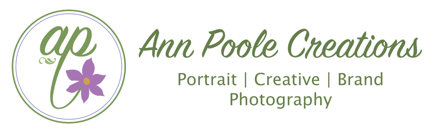 Logo for Ann Poole Creations Portrait Headshot and Brand Photographer in Winnipeg.