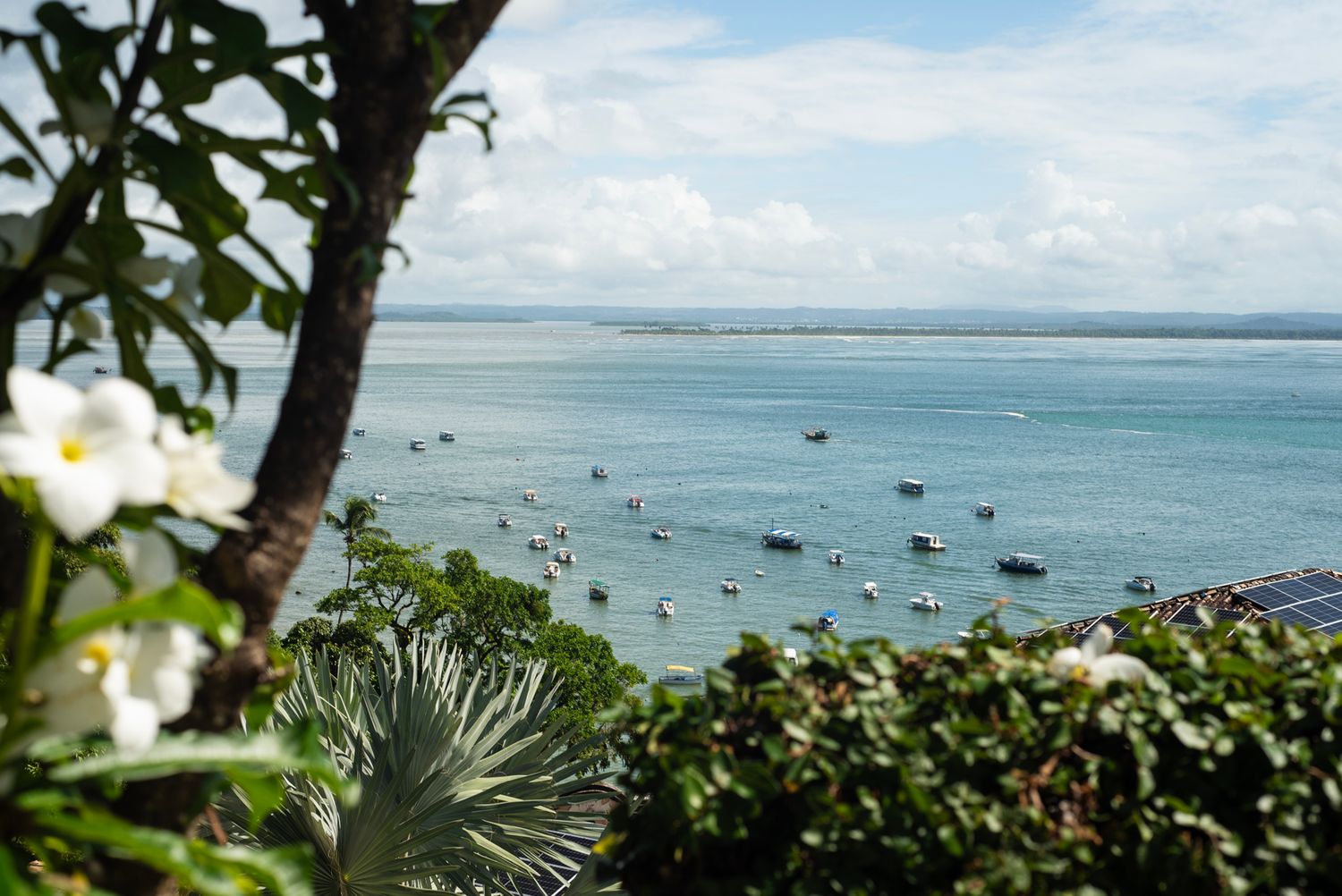 Scenic coastal view of tropical beach with turquoise waters and lush greenery in the foreground.