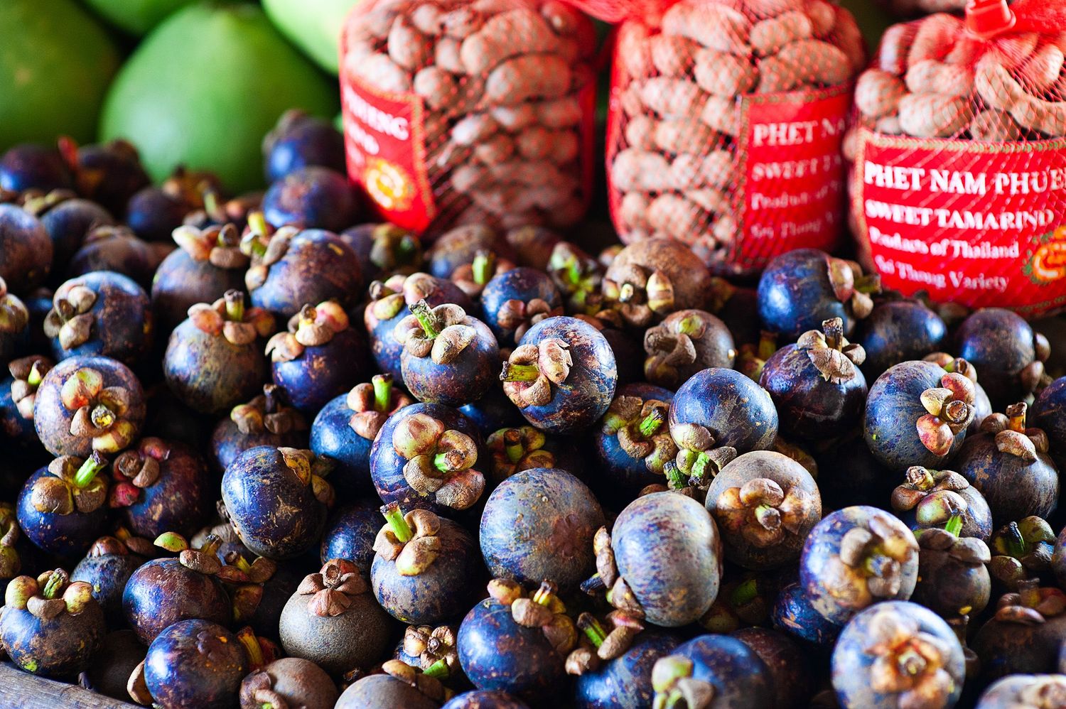 Fresh red currants and blueberries arranged in rows showing various stages of ripeness and texture.