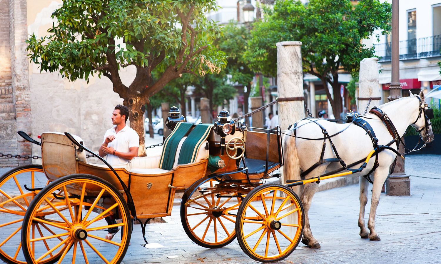 A traditional horse-drawn carriage with a white horse waits for tourists on a cobblestone street in Seville, Spain.