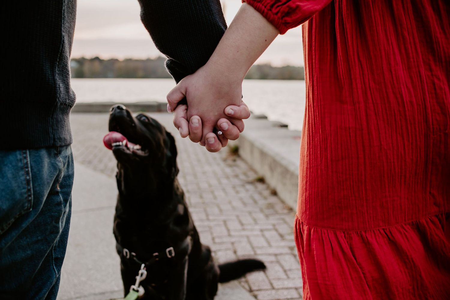 Finger Lakes couple with their puppy for engagement photos
Canandaigua Lake, Canandaigua NY
Canandaigua City Pier