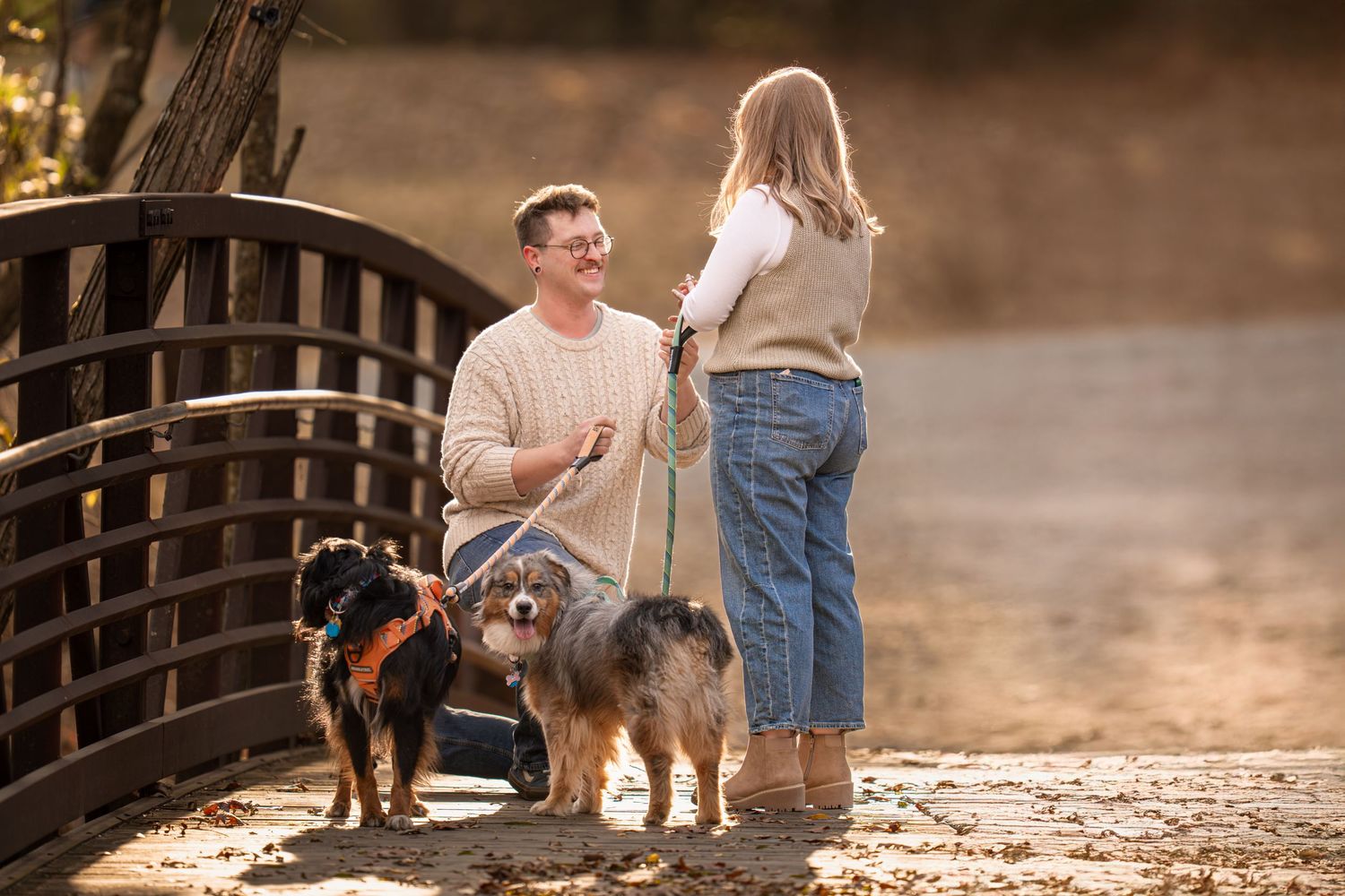 Dogs and their owners walk along a wooden bridge path on an autumn day, creating a warm and inviting scene.