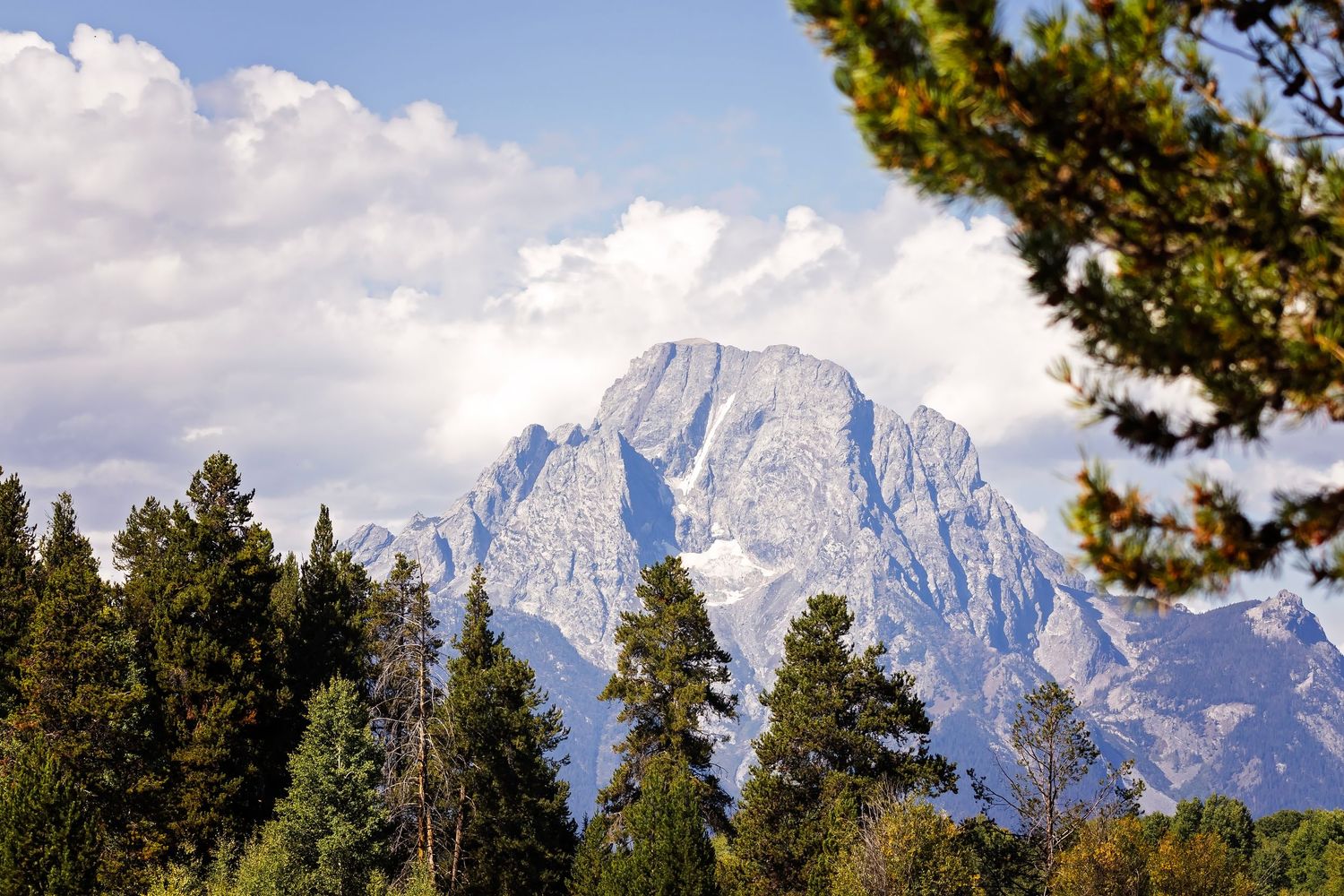 Majestic mountain peak framed by evergreen trees, showcasing professional nature and landscape photography by Haug & Bees Media.
