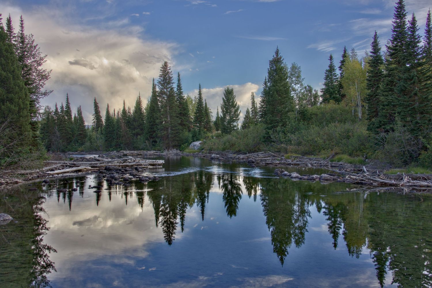 Serene mountain lake landscape by Haug & Bees Media, featuring pine tree reflections in clear water with a dramatic sky at dusk.