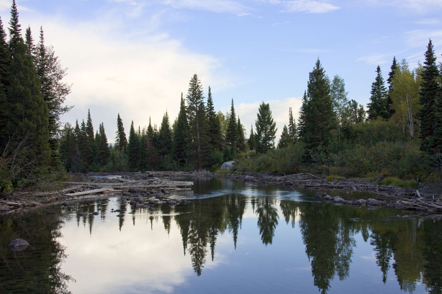 Serene mountain lake landscape by Haug & Bees Media, featuring pine tree reflections in clear water with a dramatic sky at dusk.