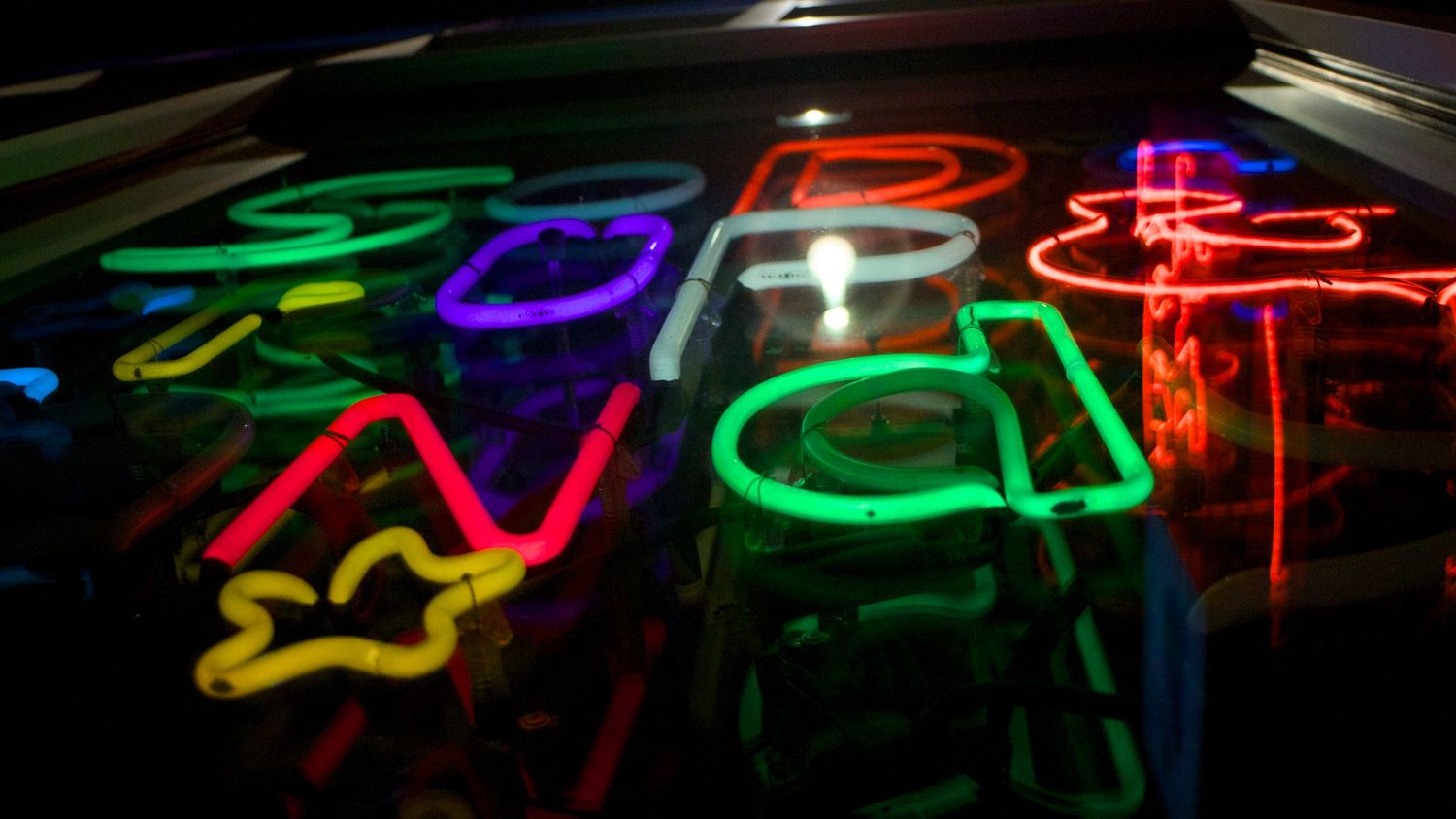 Abstract neon sign photography with vibrant colors and bokeh effects, captured by Haug & Bees Media.