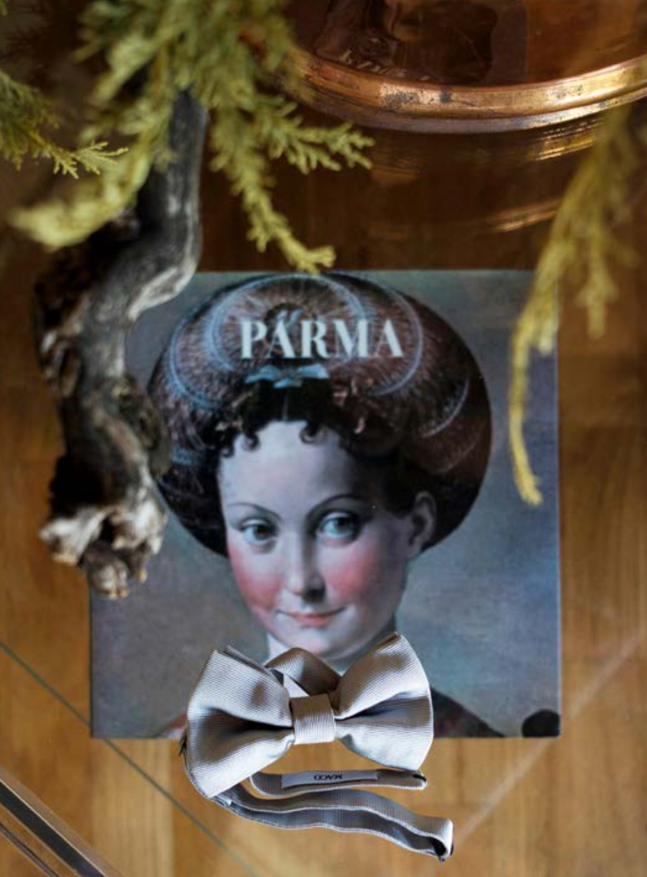 vestizione sposo, settaglio Papillon, Parma