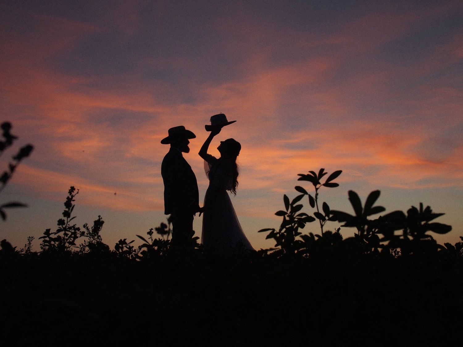 Ritratto degli sposi in shilouette in un tramonto in provincia di Piacenza, immortalato da Stefania Bosso / Weddingtelling