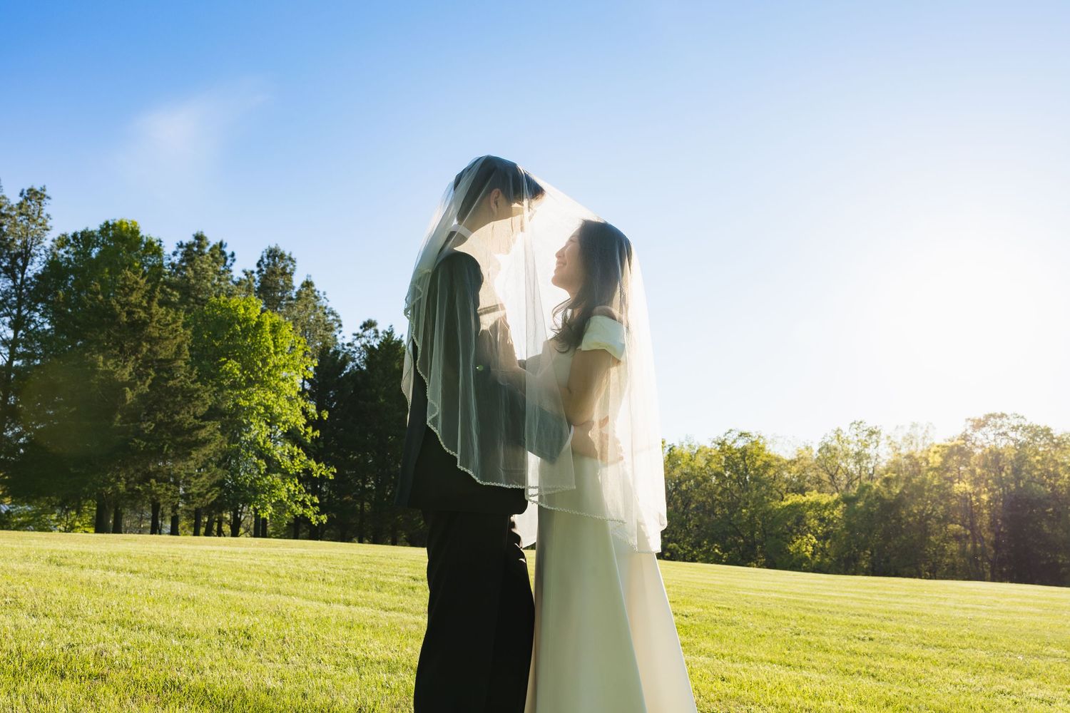 Bride and groom sharing intimate moment under wedding veil in sunny meadow.