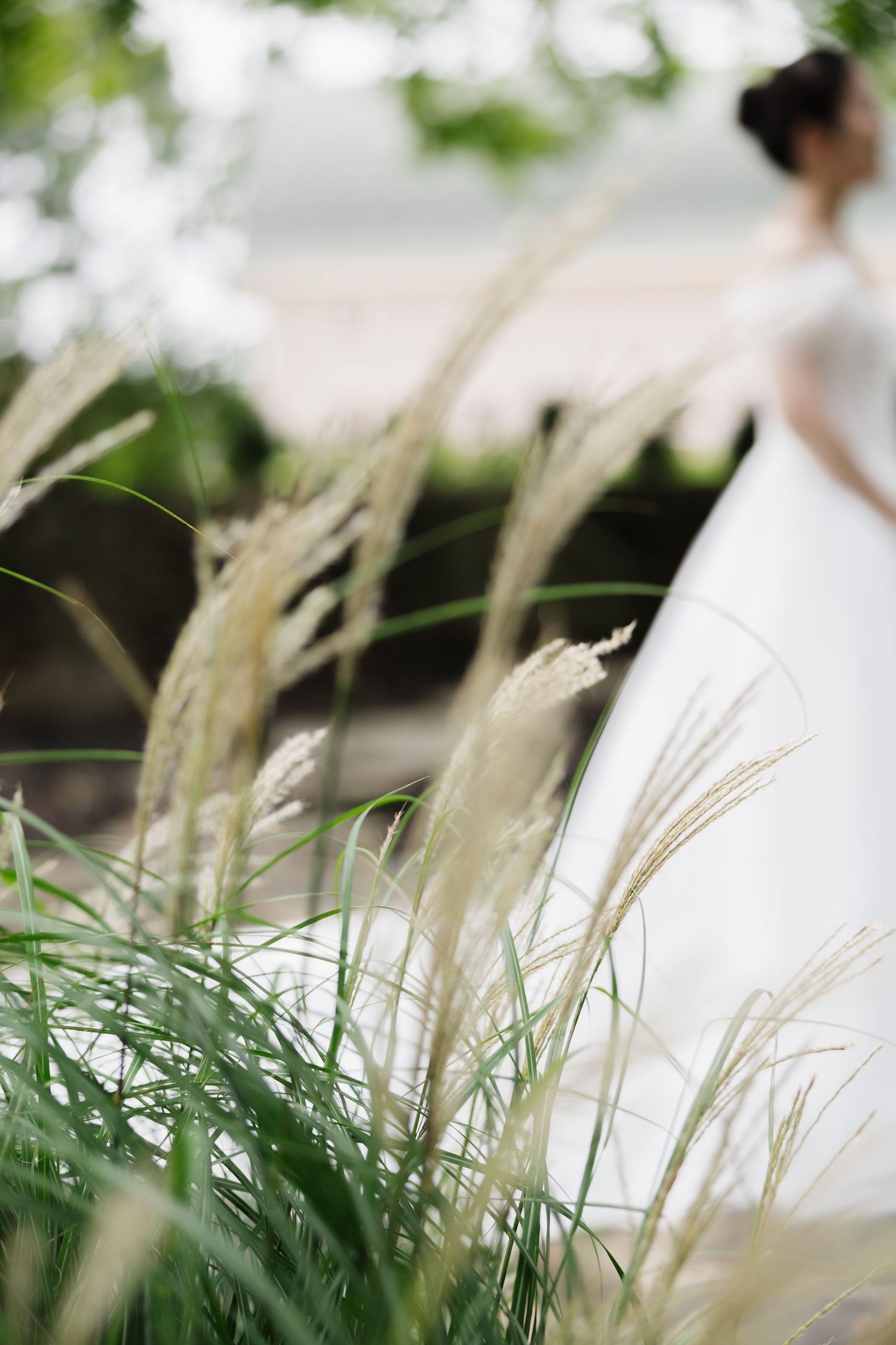 A bride in a white wedding dress stands softly blurred behind wild grass swaying in the foreground.