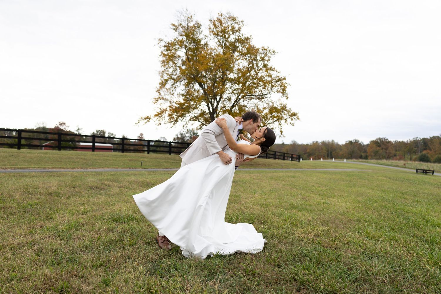 Groom dips bride for a kiss on green lawn with autumn tree in background.