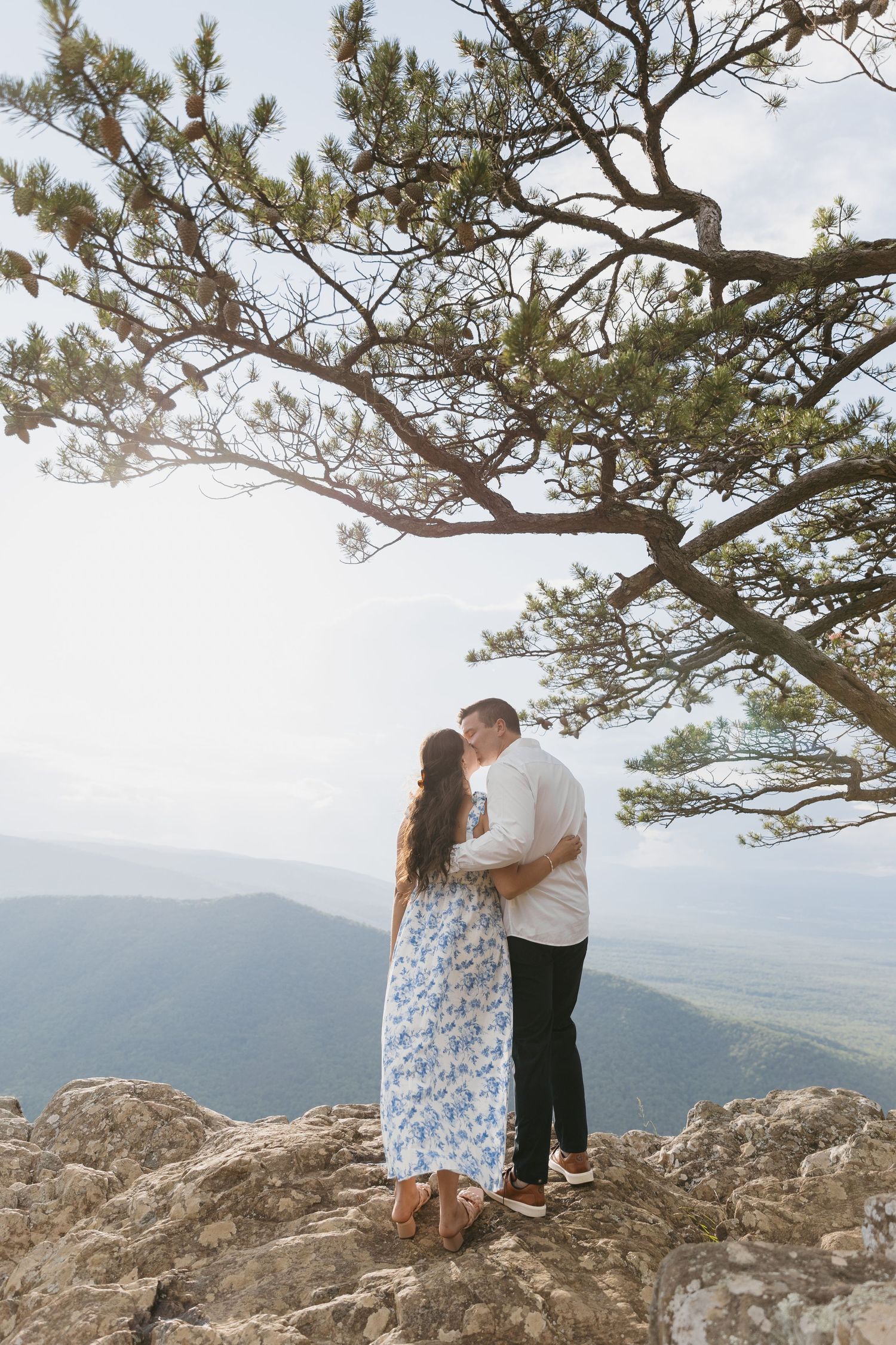 Couple sharing a kiss on mountain summit rocks beneath a sprawling pine tree.