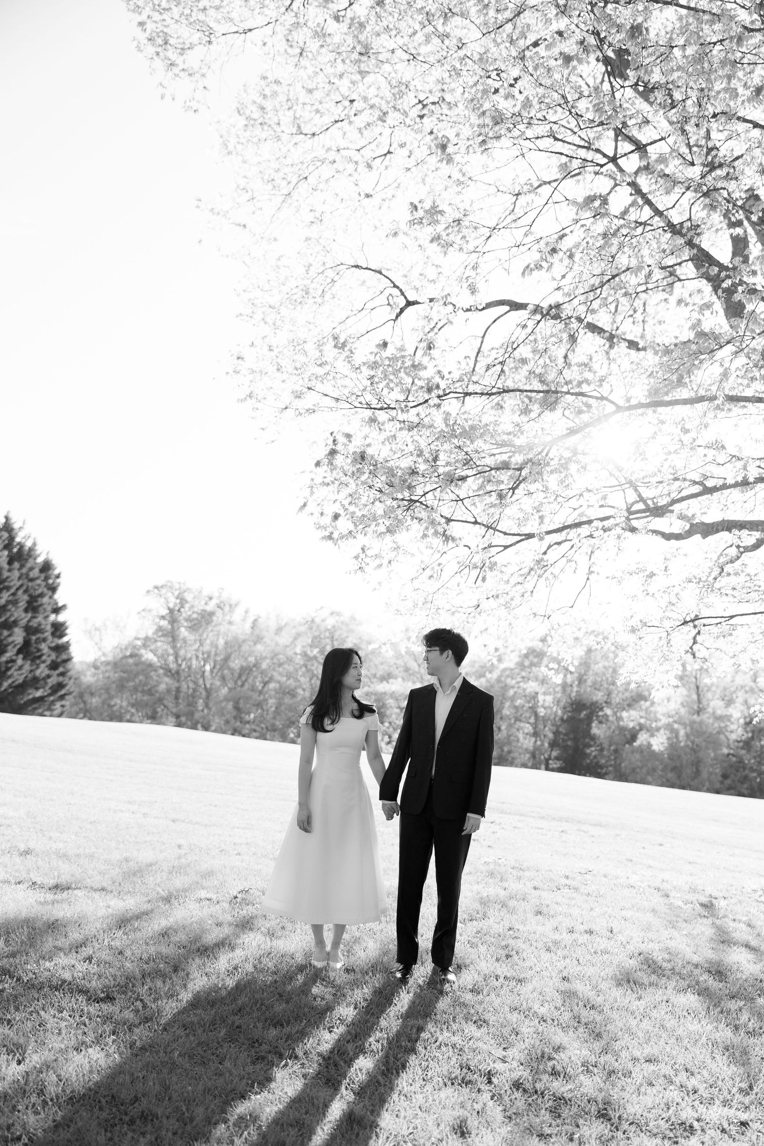 Black and white photo of couple holding hands under blooming tree in sunlit open field.