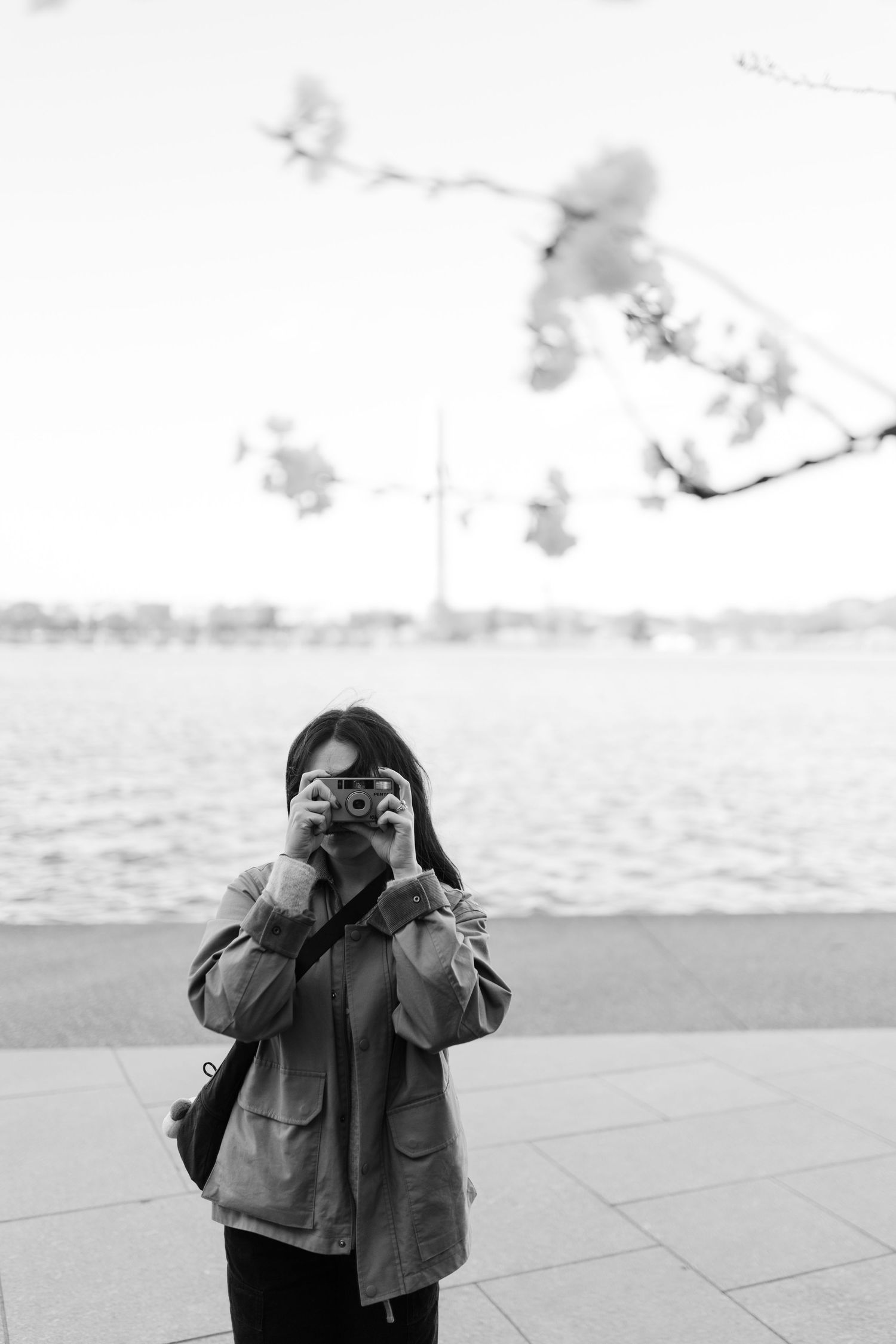 Black and white photo of a woman photographing with a vintage camera near a waterfront with cherry blossoms.