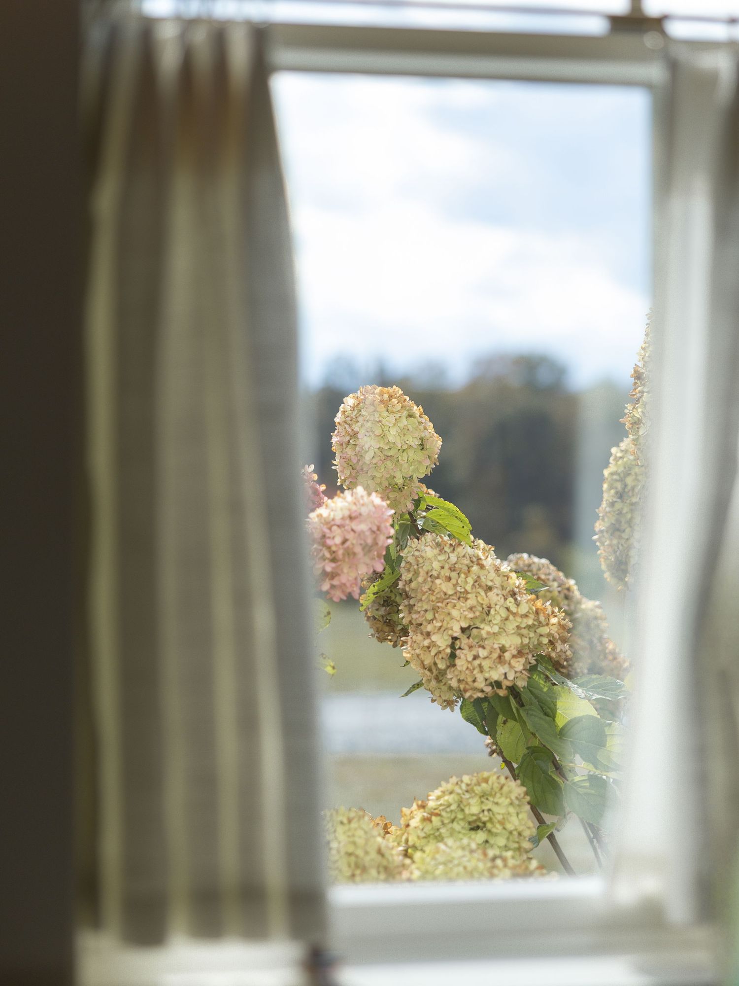 Wedding details at Tiffin Farm Barn Charlottesville VA editorial and timeless wedding photography